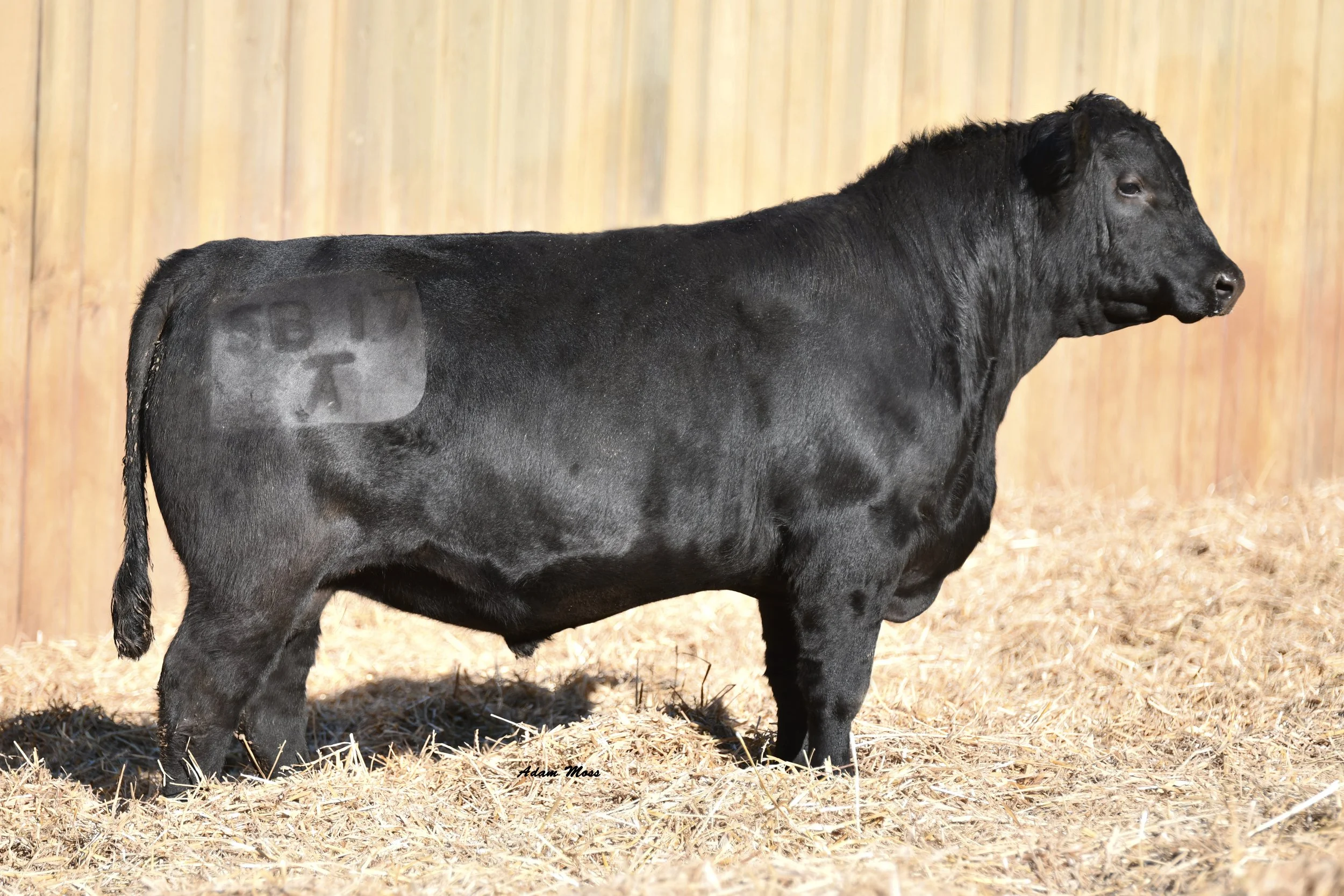 Lot 5- Tokeenas Deposit 5B17