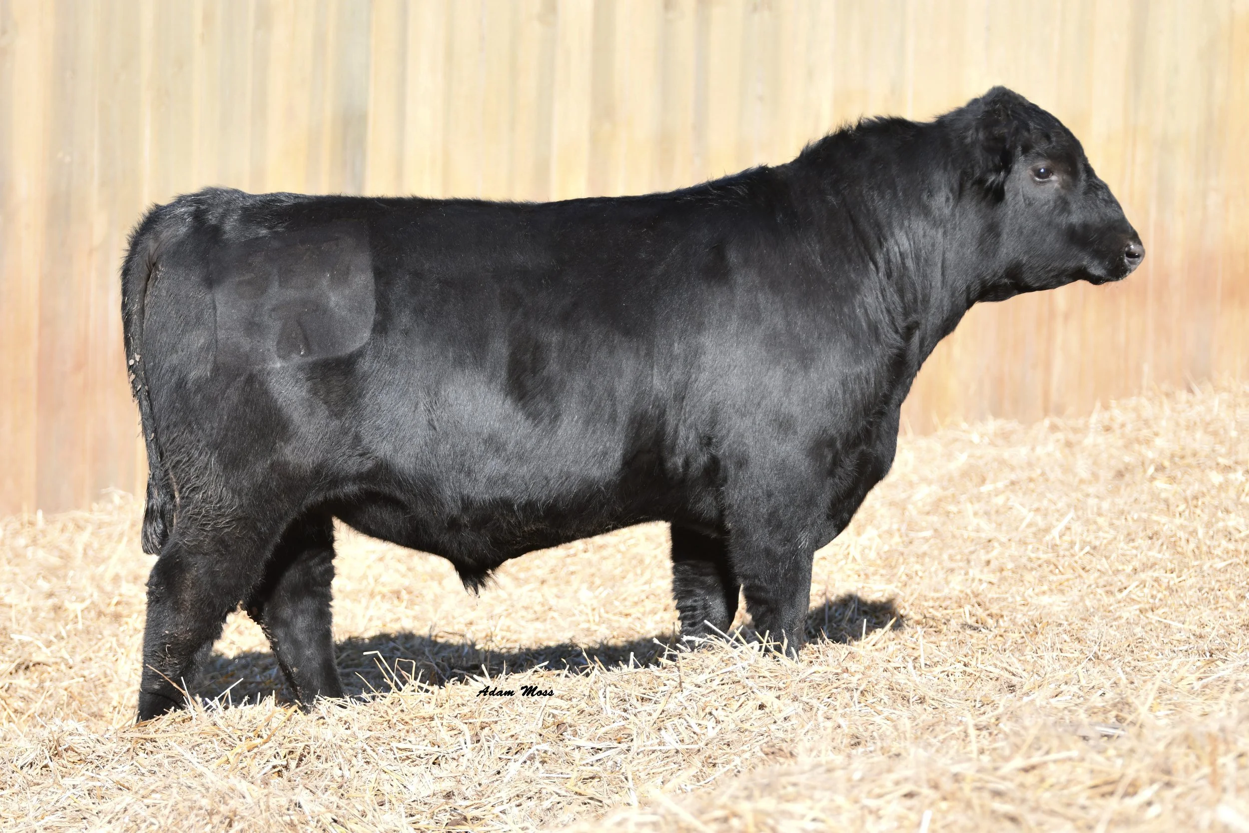 Tokeenas  Deposit 5B7