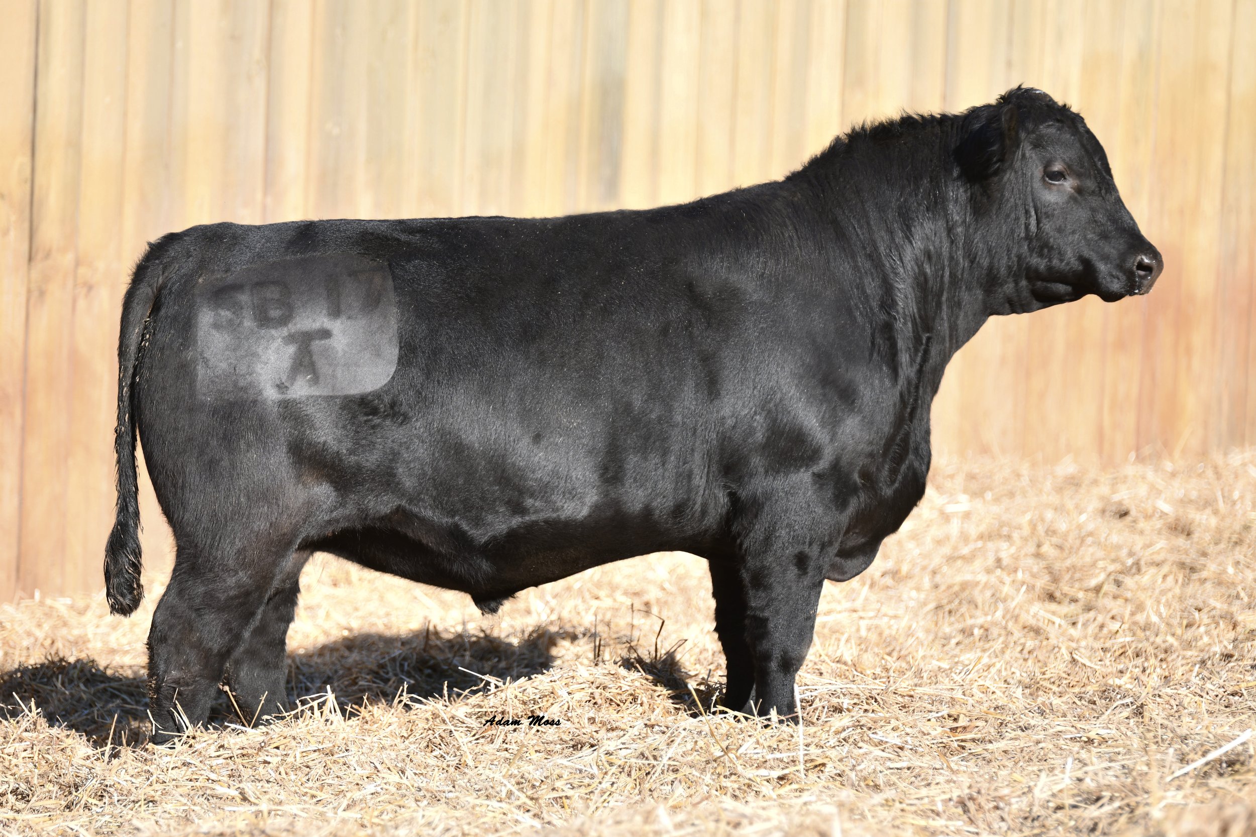 Tokeenas Deposit 5B17