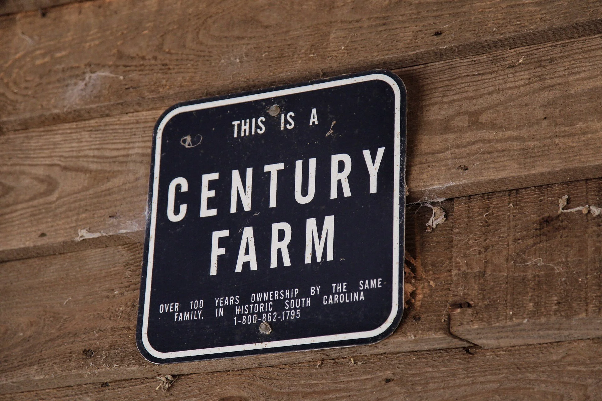 century farm.jpg
