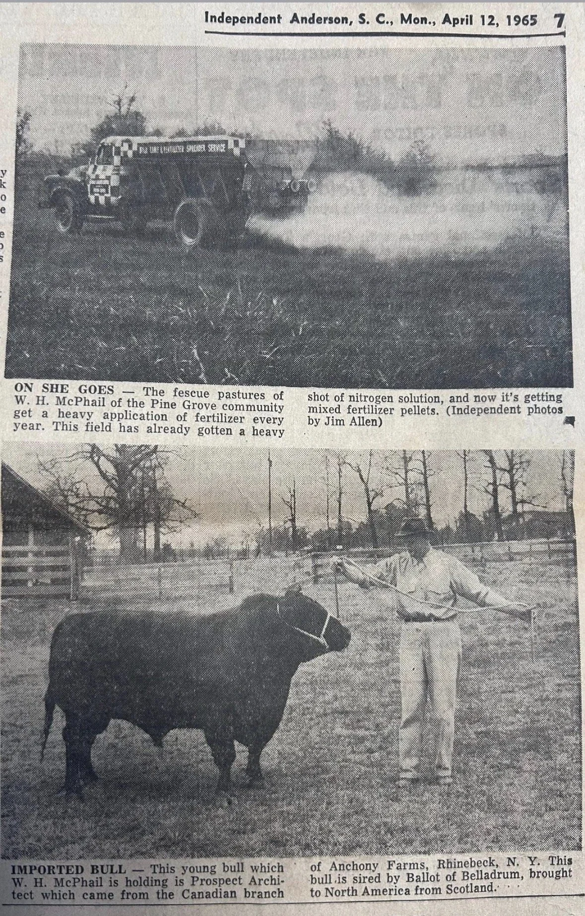 WH McPhail bull article