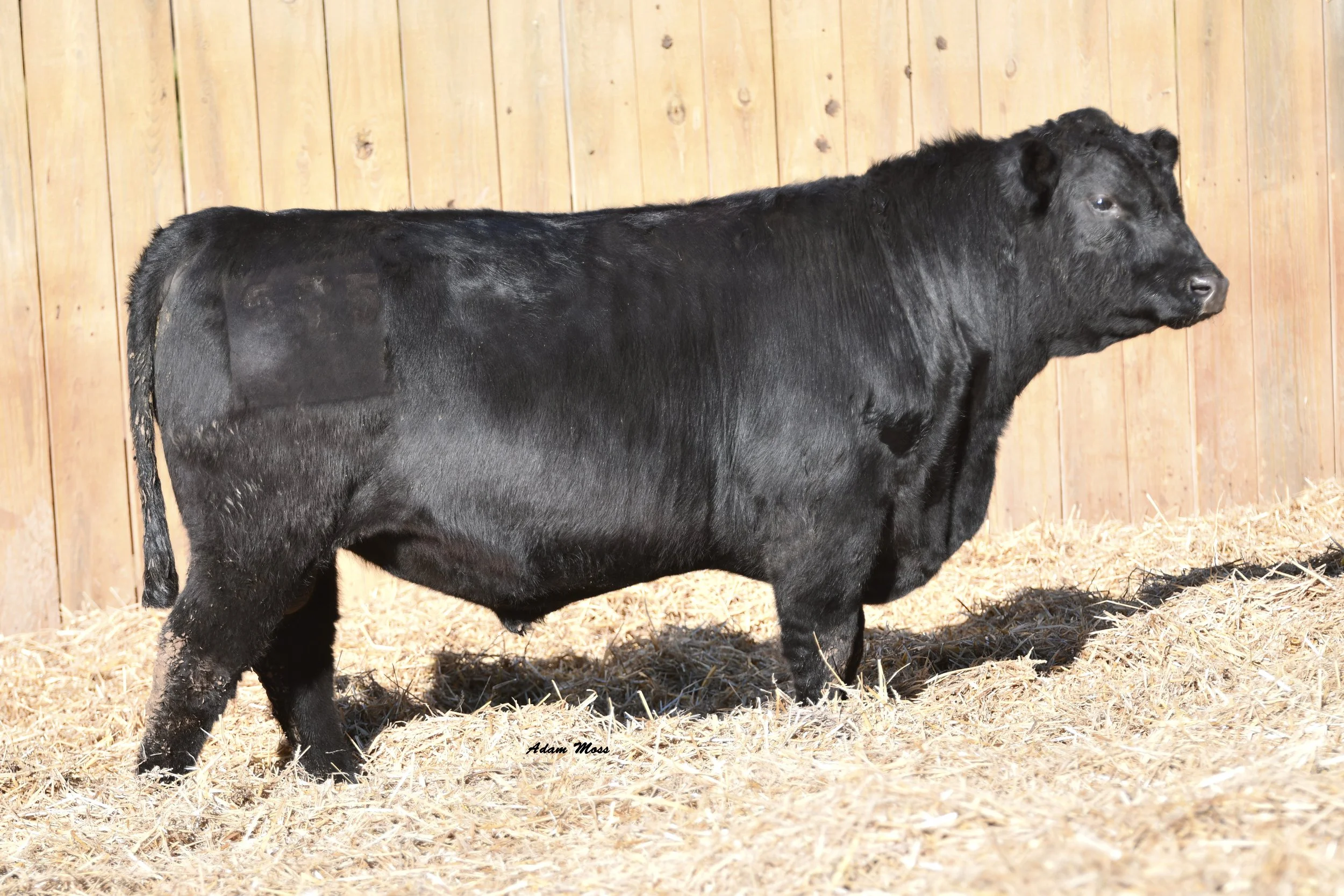 Tokeenas Deposit 5B5