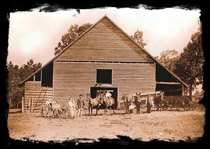 Tokeena Angus 1936 barn