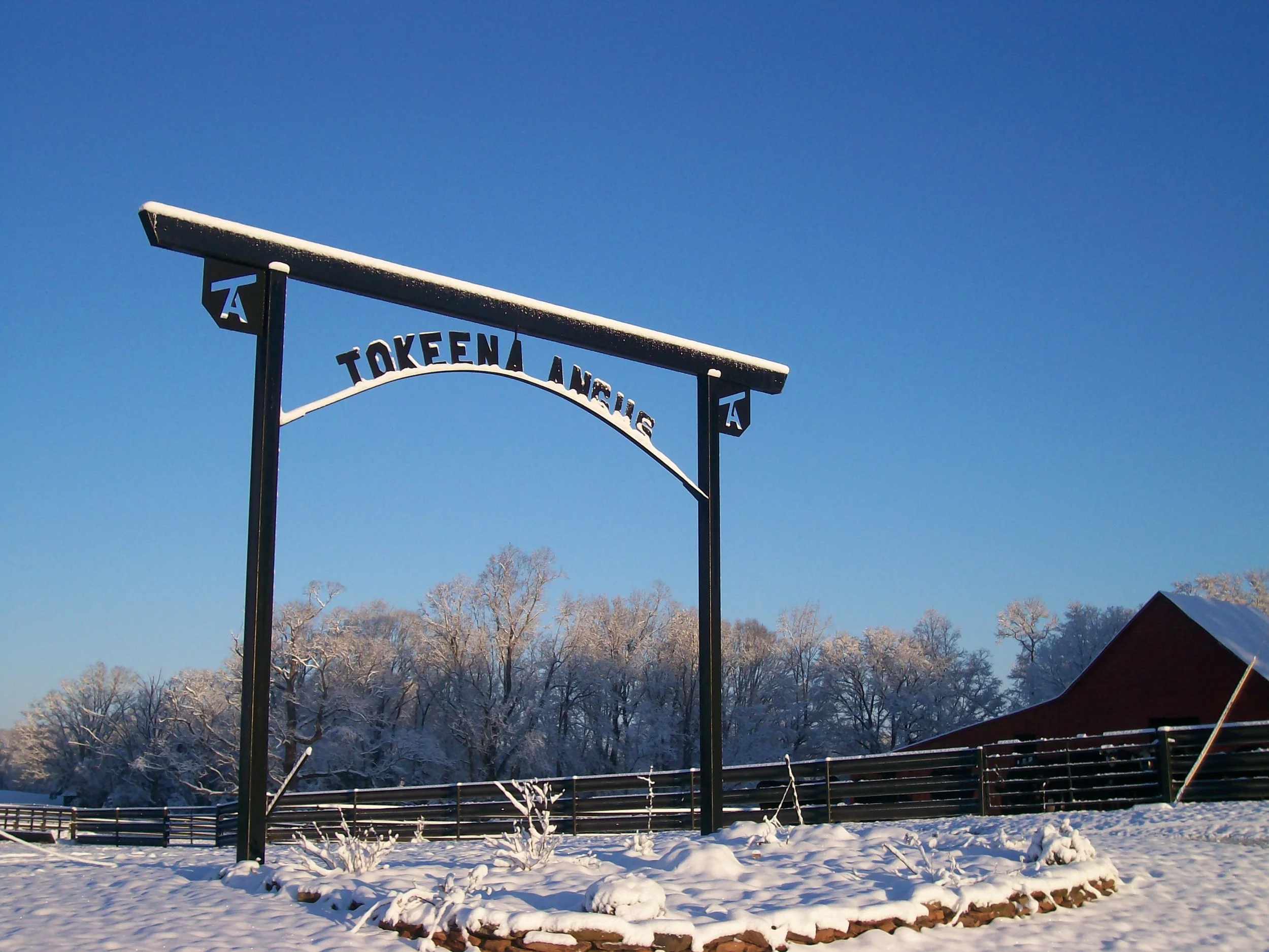 Early morning 2.jpeg