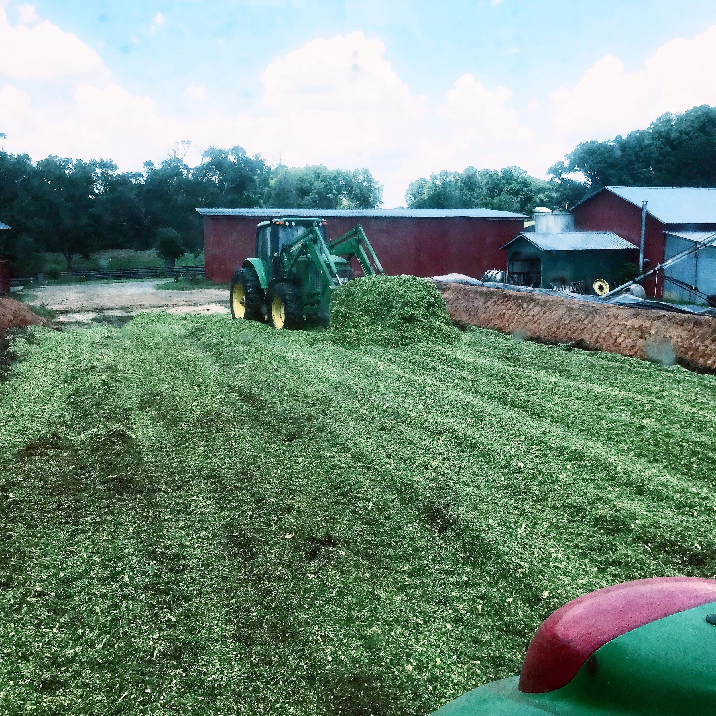 silage.jpg