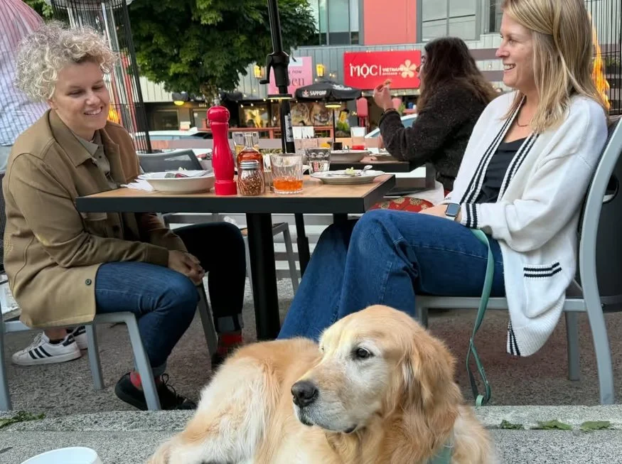 Vancouver city councillor adopts 10-year-old dog known for chasing SkyTrain
