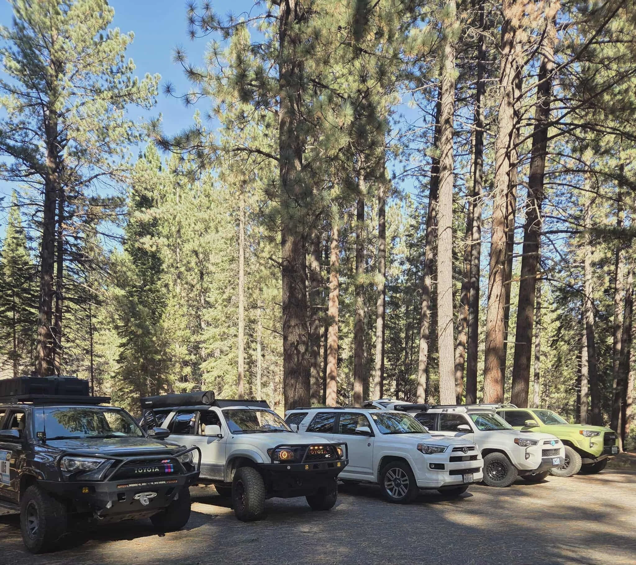 Yosemite  Firefall - “Galentine's” Weekend
