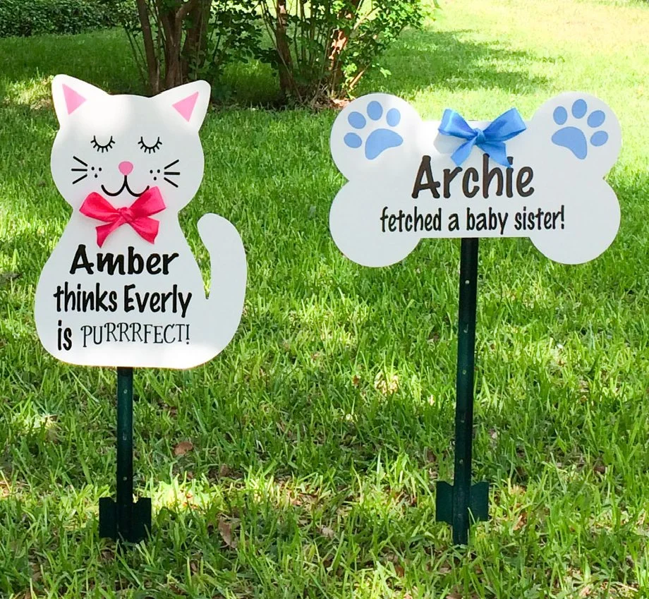 Kitty Cat and Dog Bone
