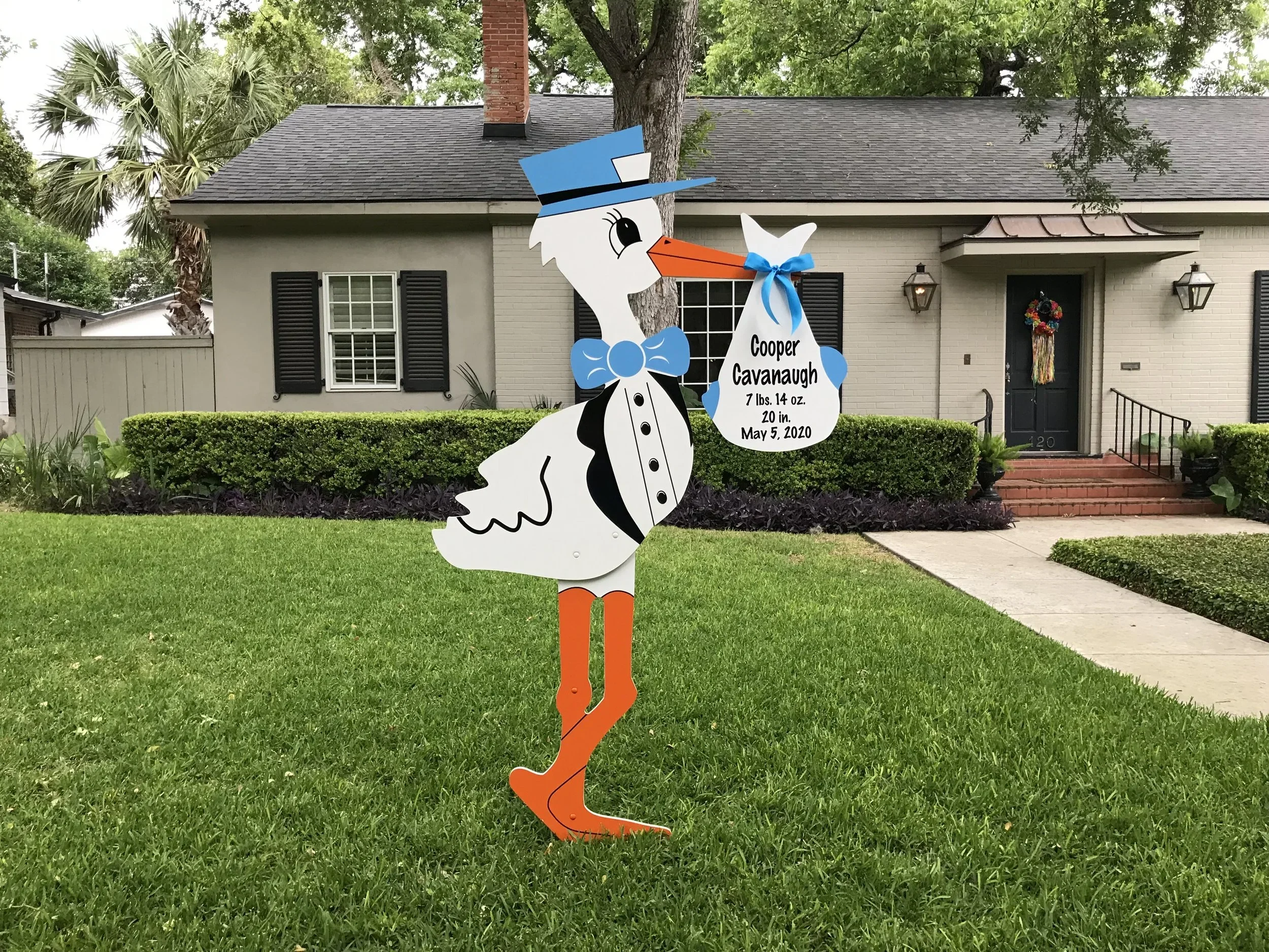 Blue Stork
