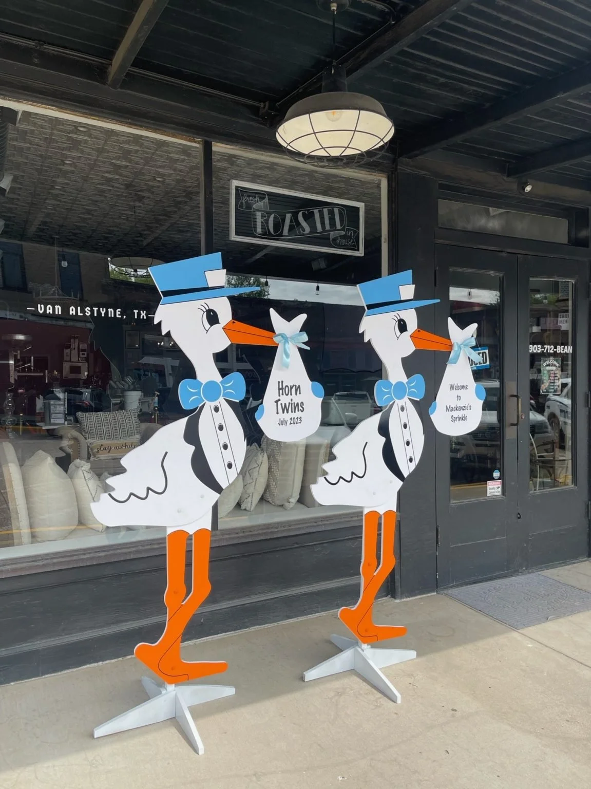 Sip and See Storks