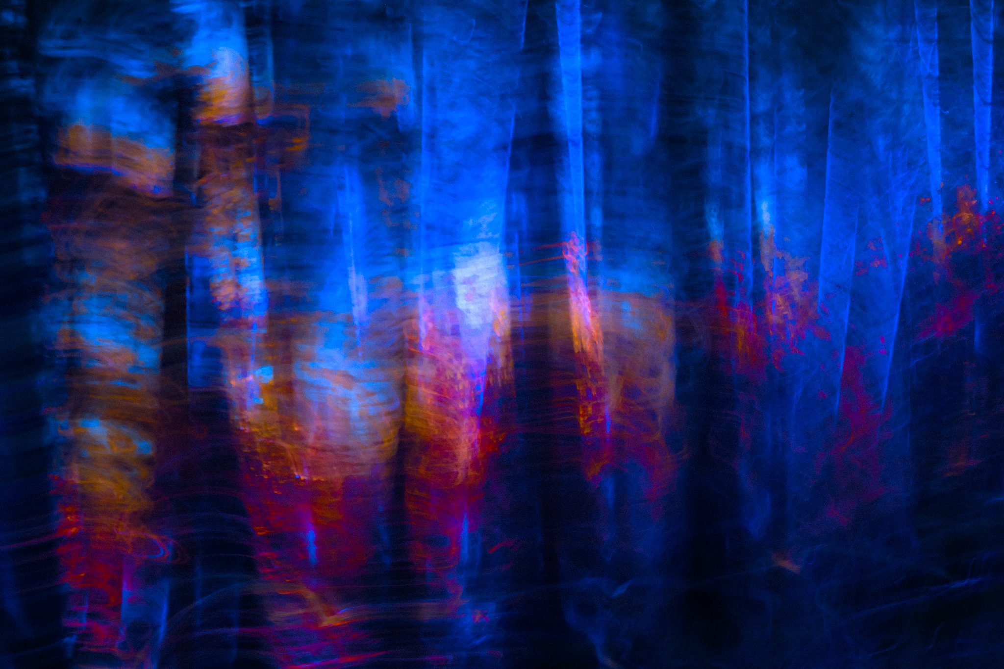 DSCF8193.jpg