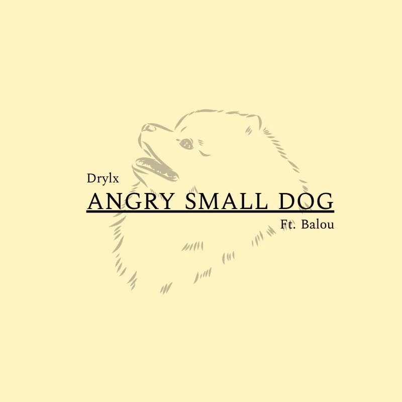 Released on January 5, 2026, "ANGRY SMALL DOG" is a happy, upbeat beat featuring the barking of Drylx's pomeranian dog, Balou. Cover artwork was made by Drylx.