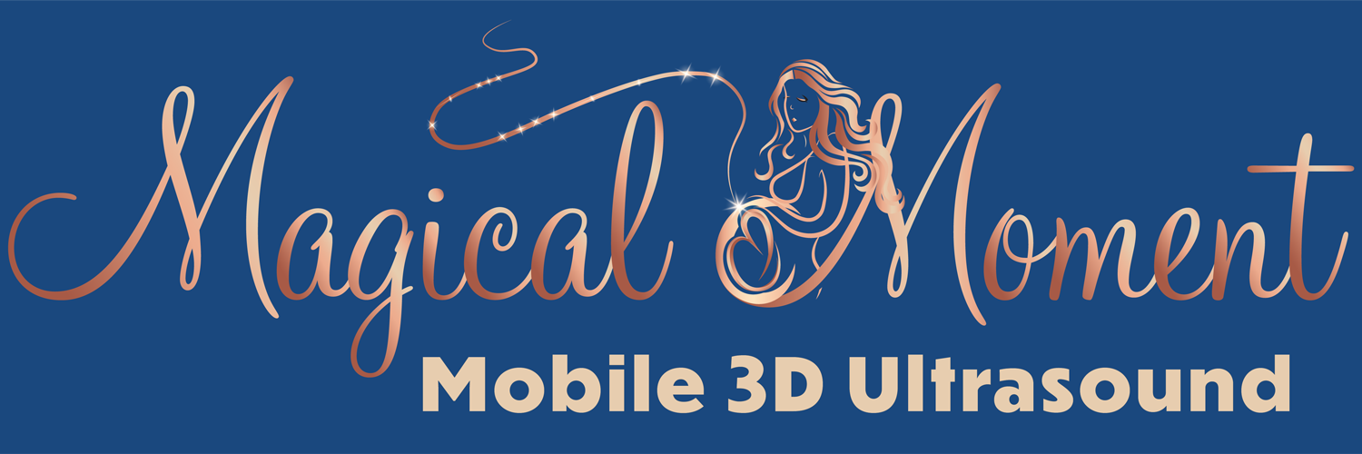 Logo Design New York