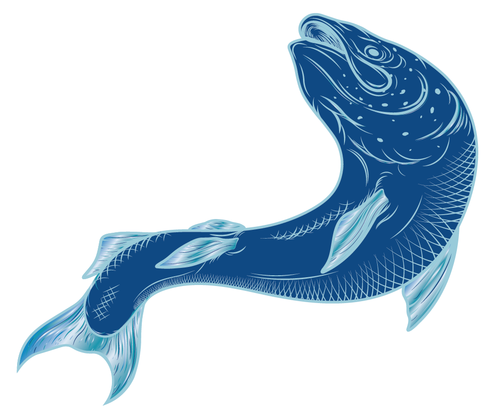 Detailed Fish Illustration