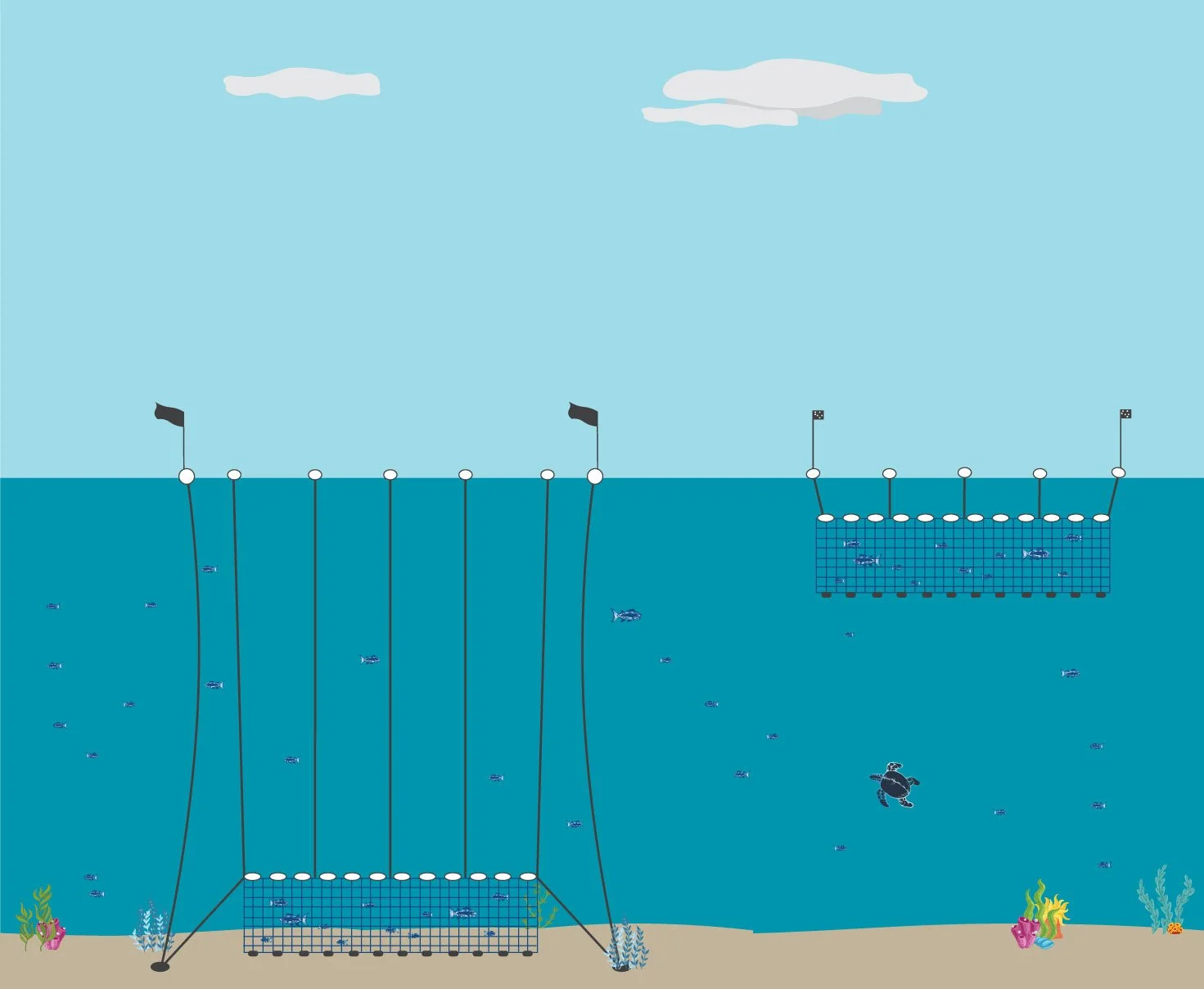 Fishing Illustration