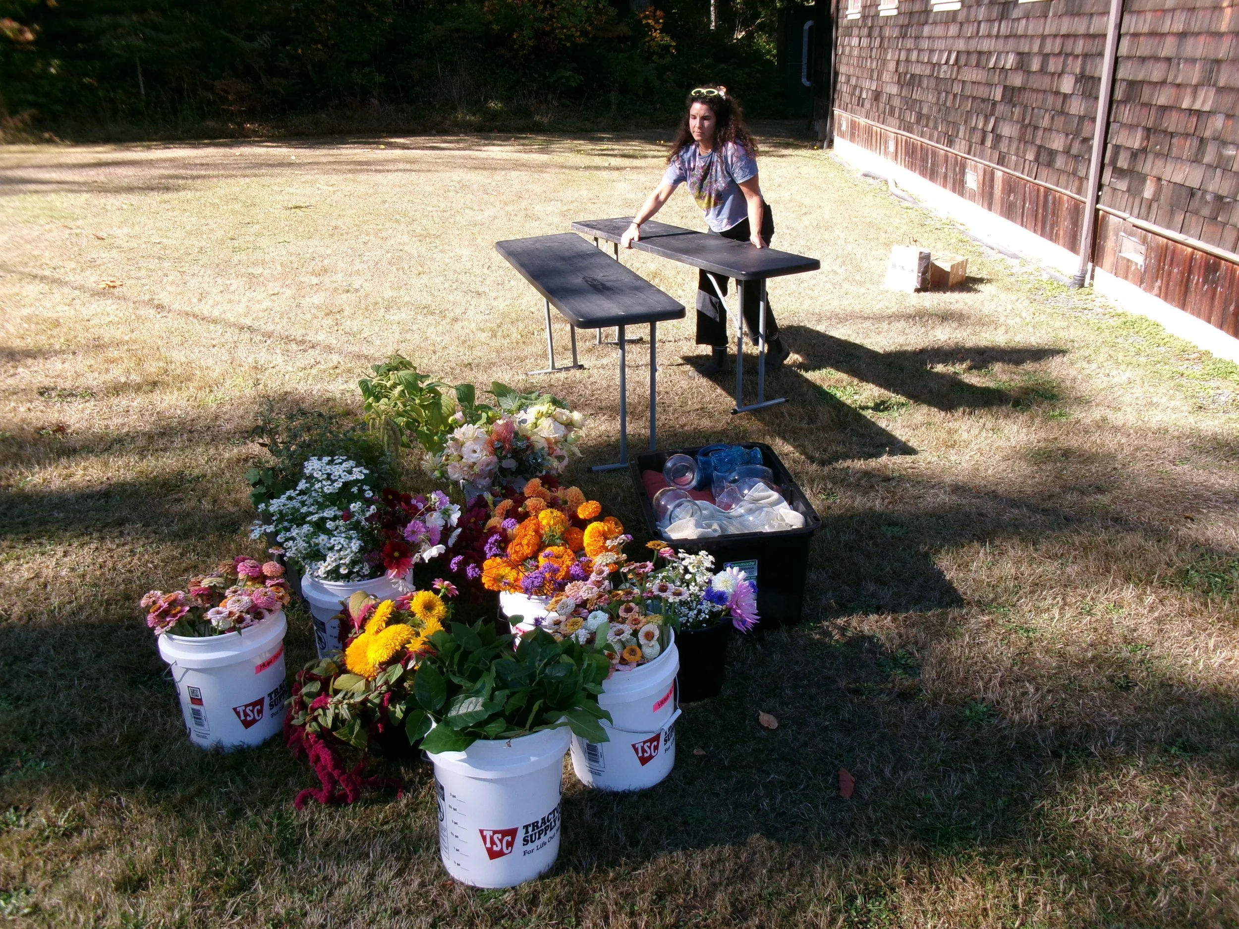 Bulk Flower Bucket : Large
