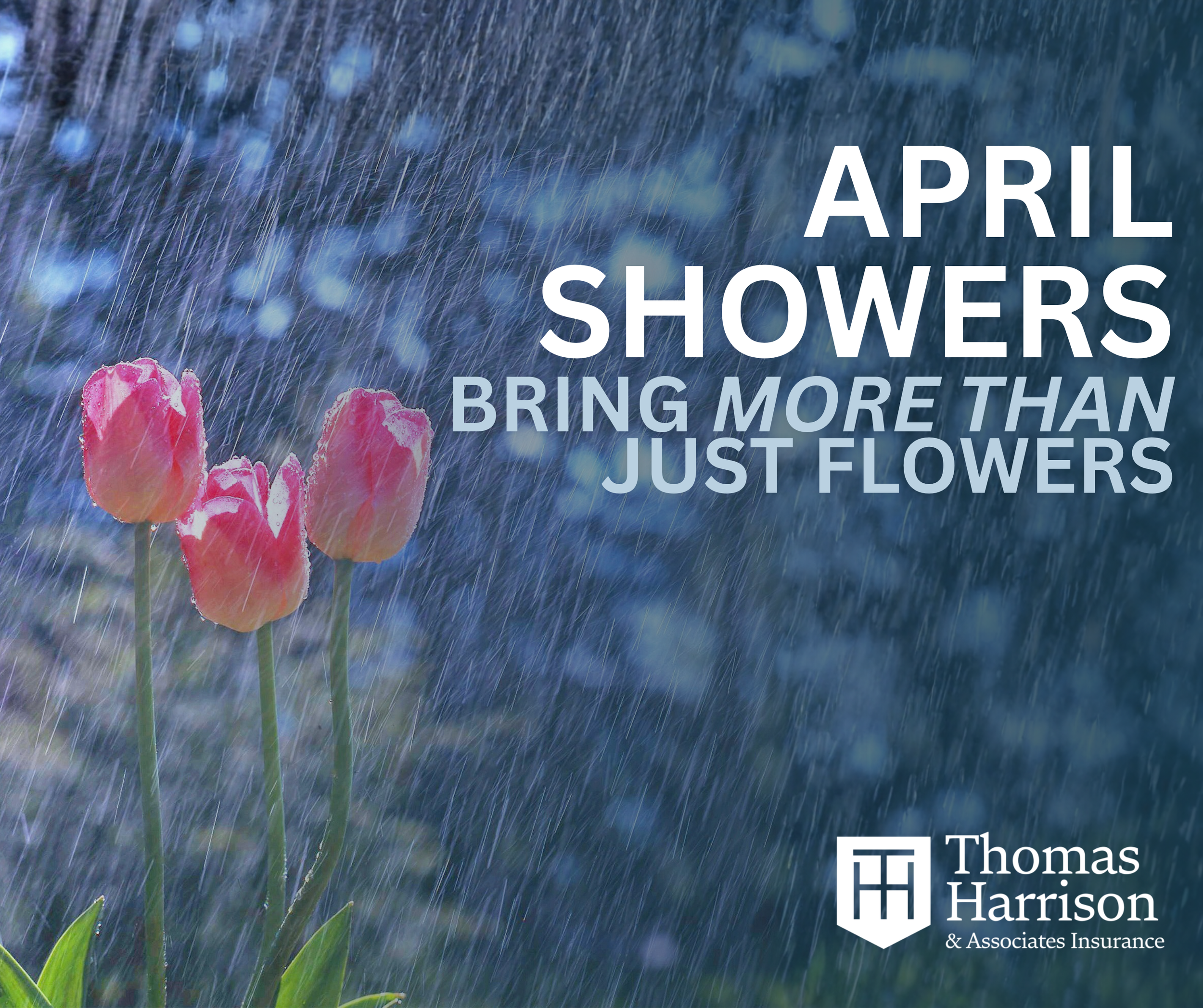 APRIL SHOWERS … BRING MORE THAN JUST FLOWERS