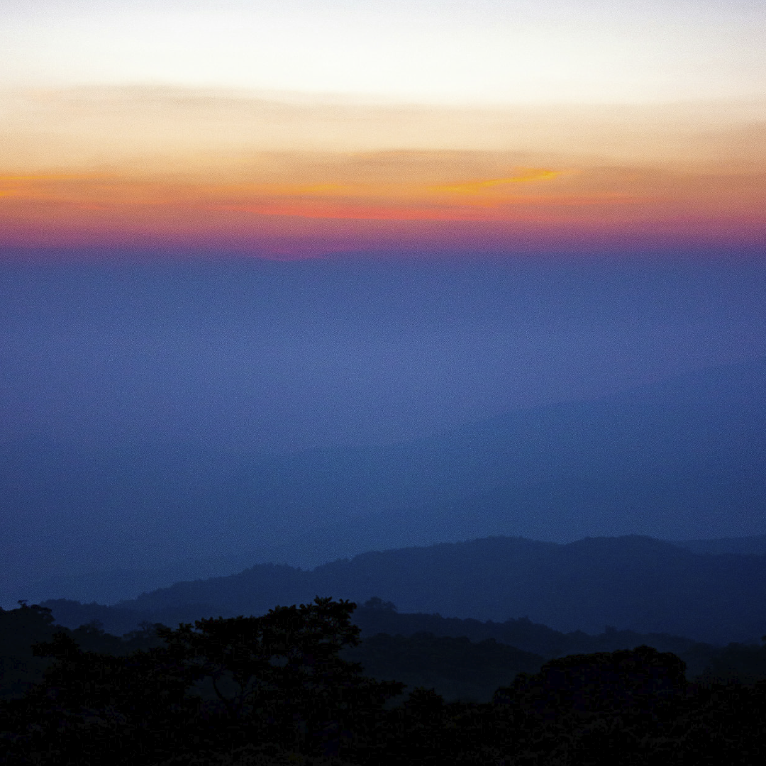 Organist - Islington Choral Society