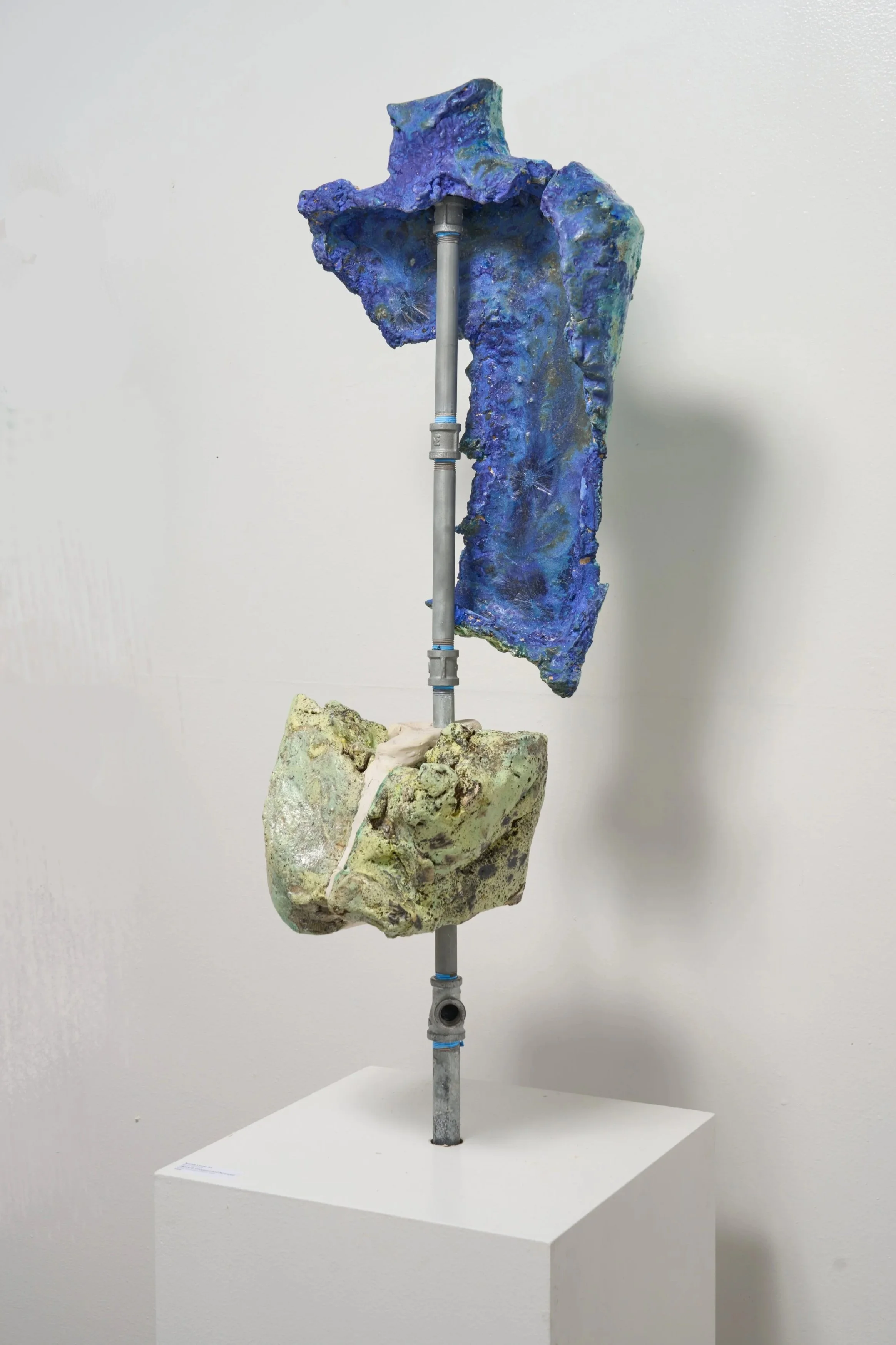 Torso+Fragment.jpg