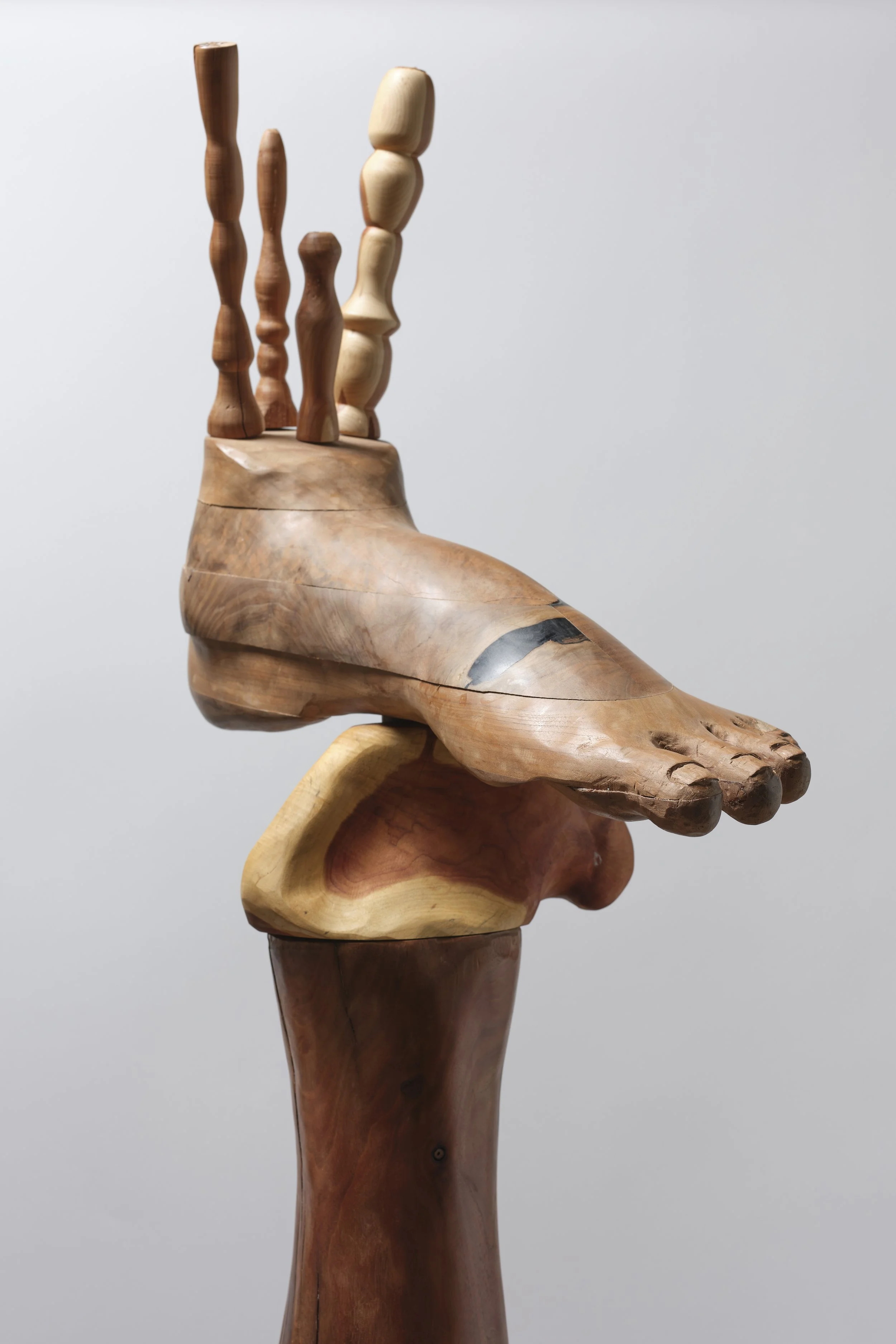 Detail On My Last Leg.jpg