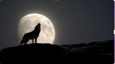 Full Wolf Moon 