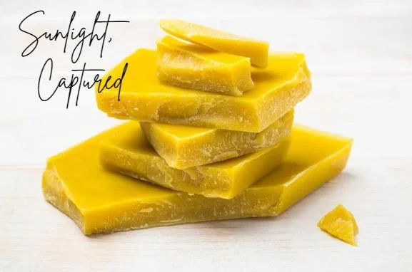 sunlight, captured.JPG