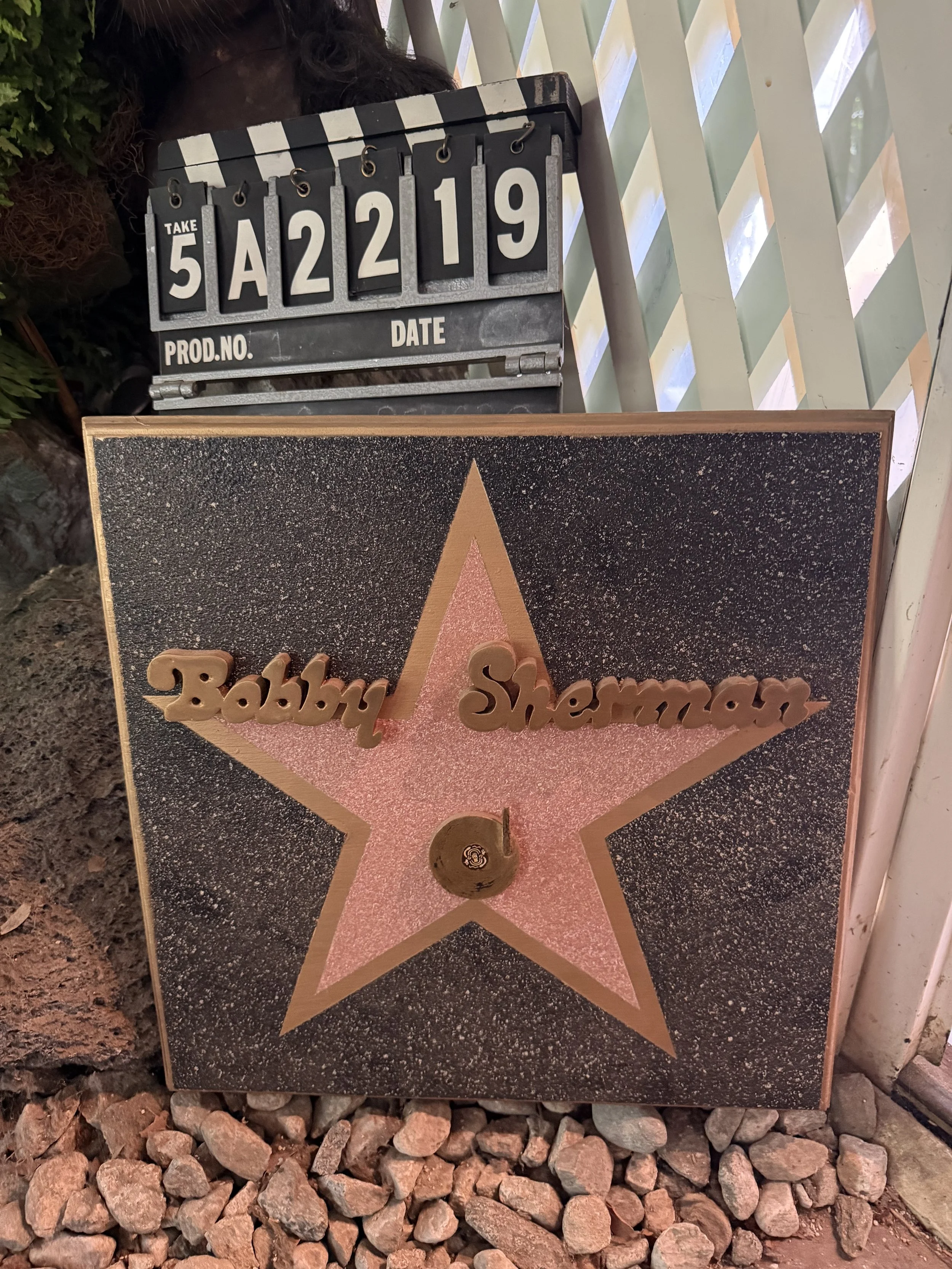Bobby Sherman Estate Sale (Appointment Only)