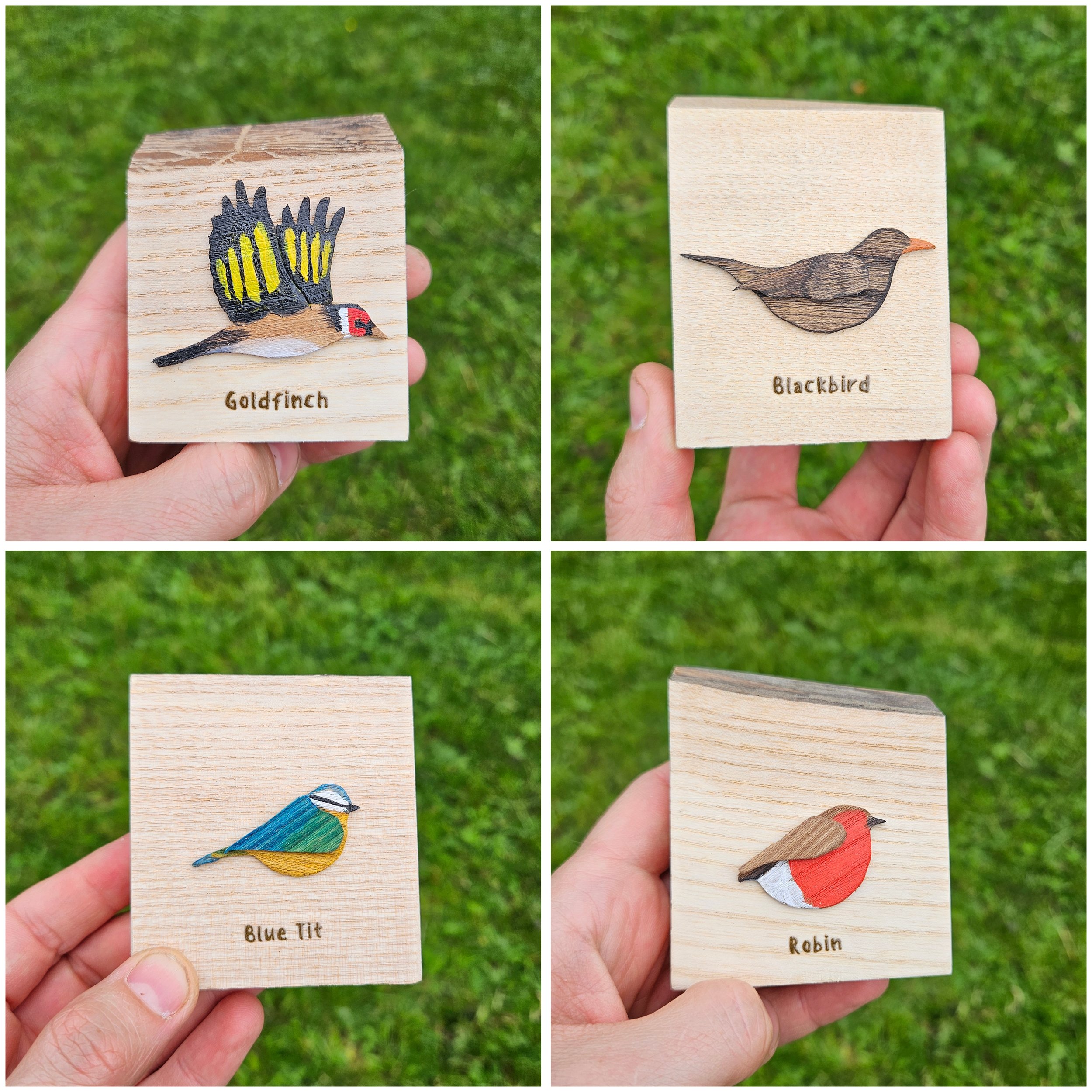 Mini Bird Magnets — Handcrafted Scottish Wood Original Art