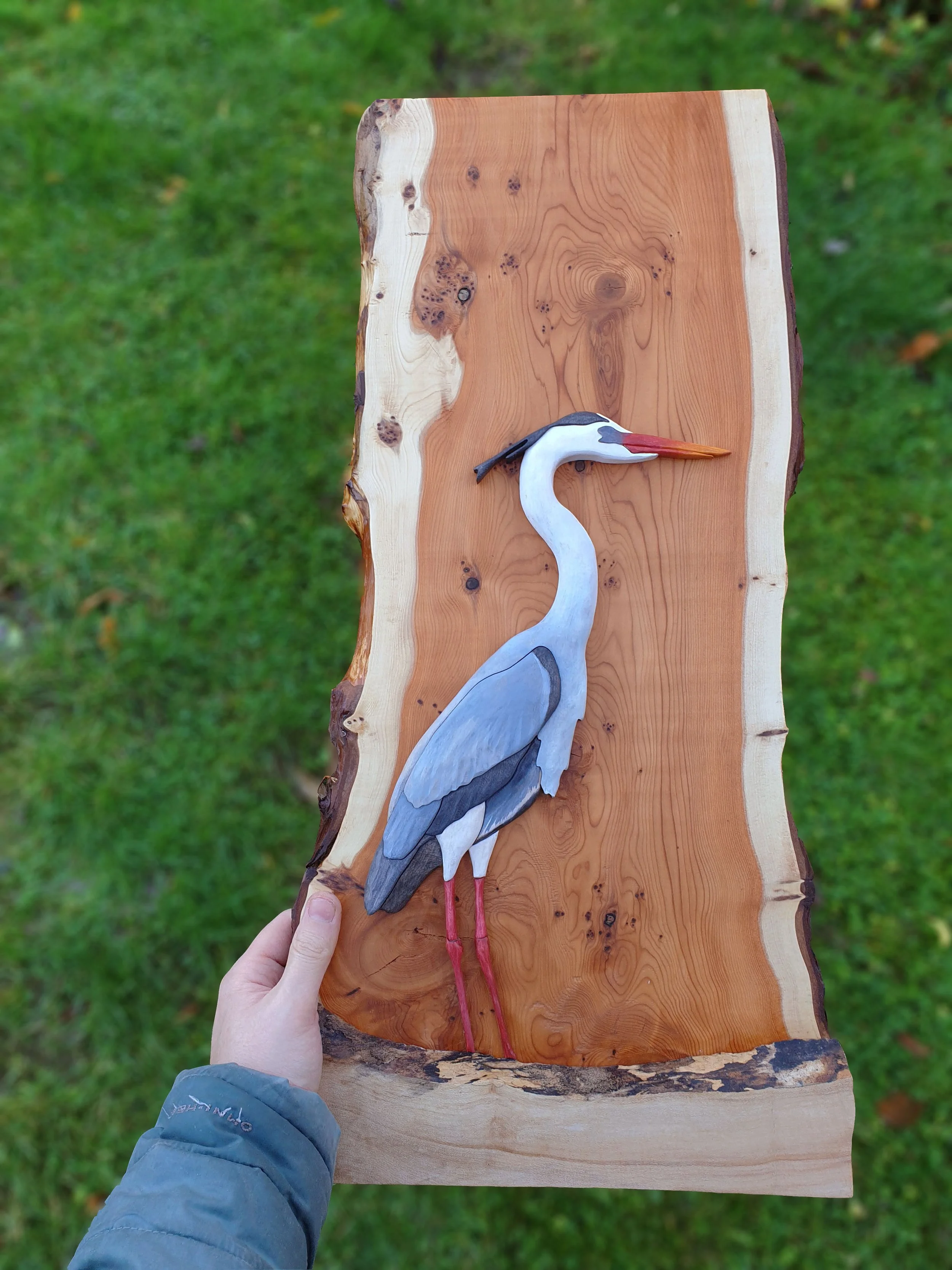 blur heron.jpg