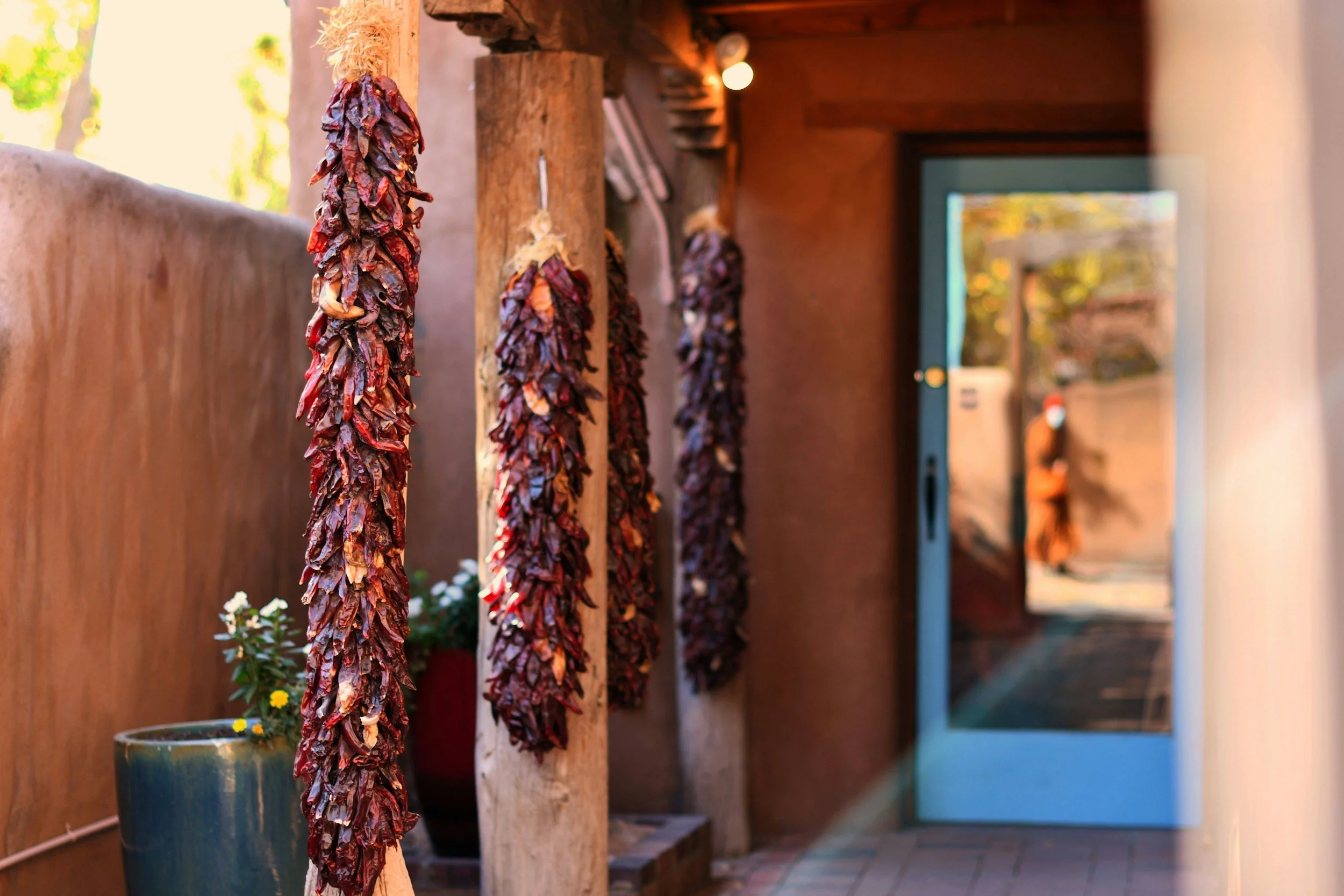 Hanging dried red chili peppers on wooden poles in an outdoor corridor with a pottery pot and plants, leading to a glass door.