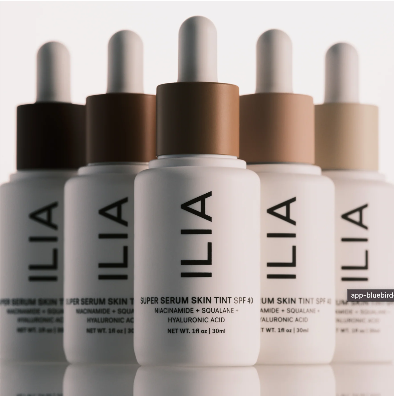 Screen Shot 2025-10-30 at 8.58.09 PM.png