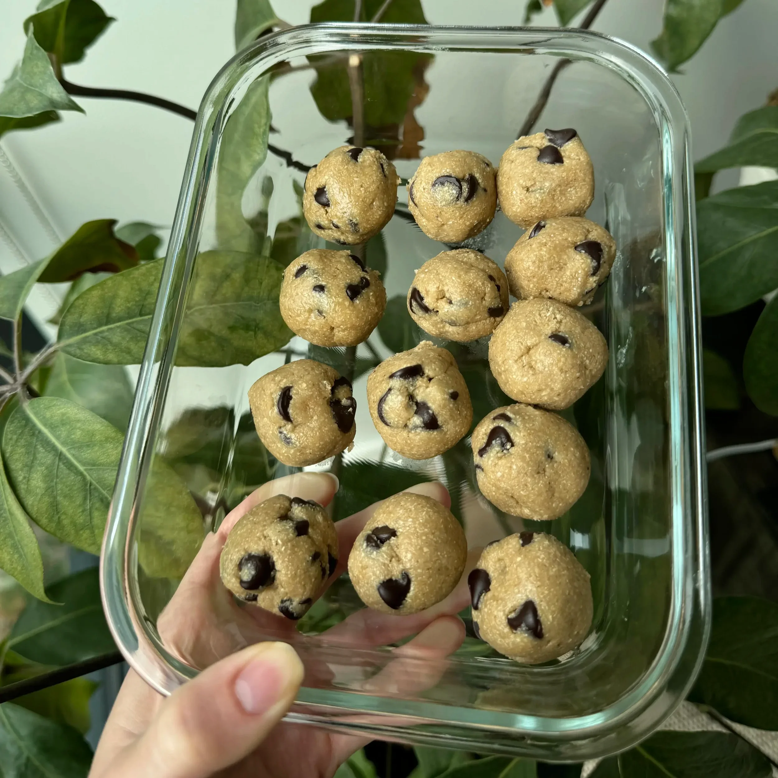 Edible Cookie Dough Bites