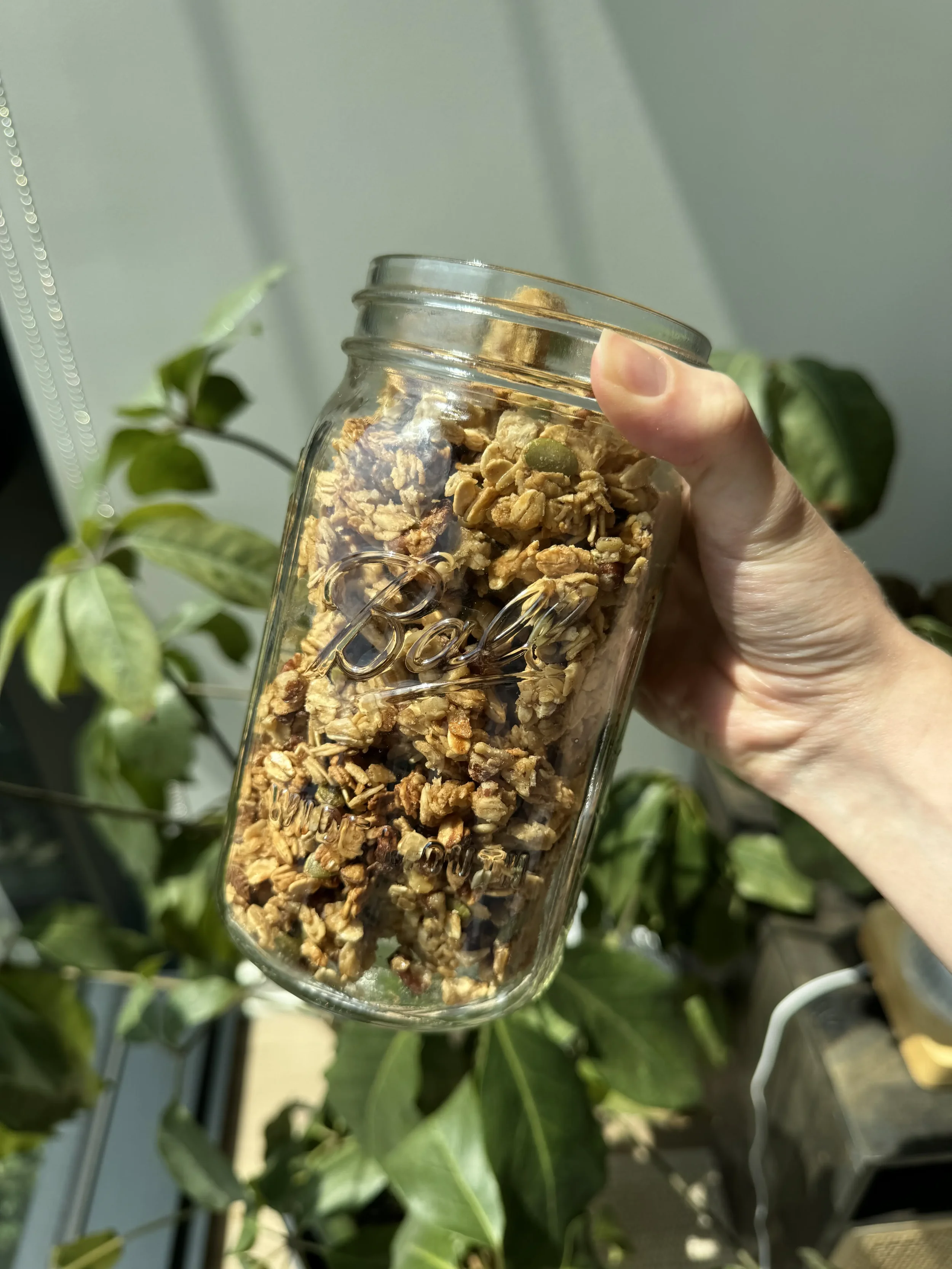 Super Seed Granola