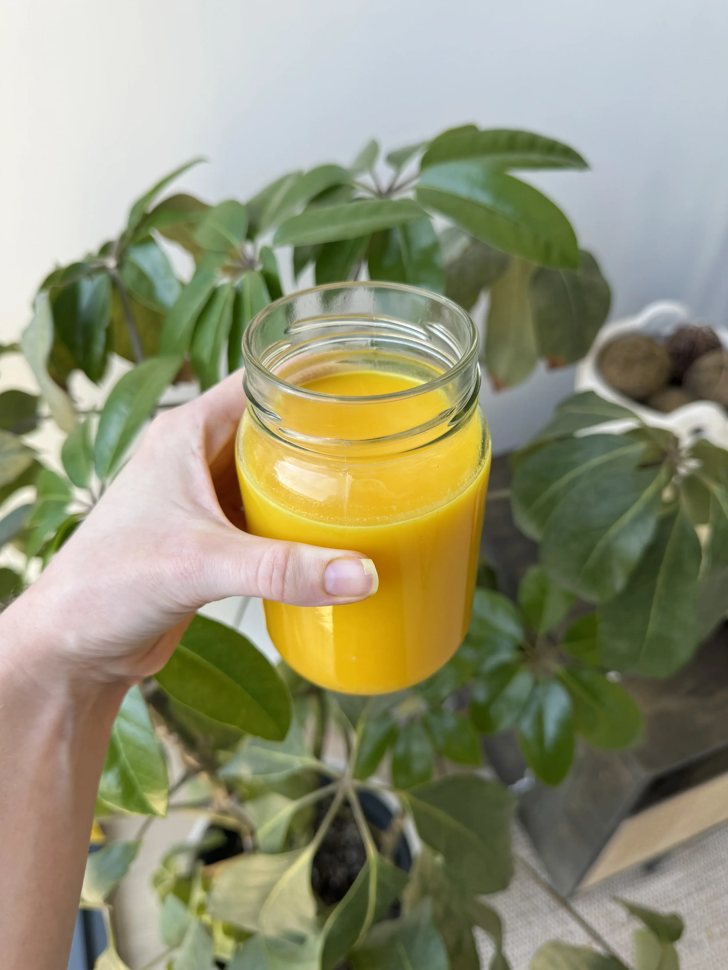 Ginger Turmeric Shots