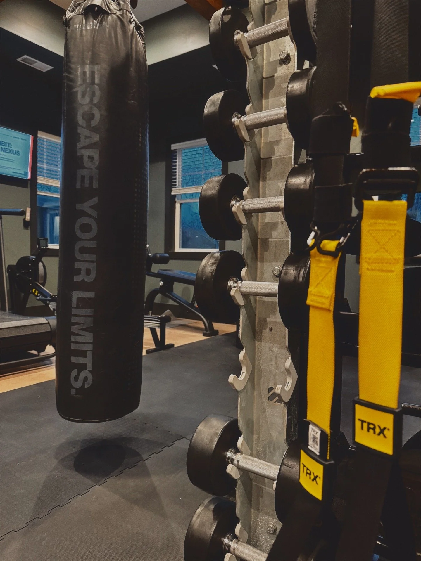 Interior of Tim Earley's workout space featuring TRX bands, a weight rack, and a heavy bag with text that reads "Escape Your Limits."