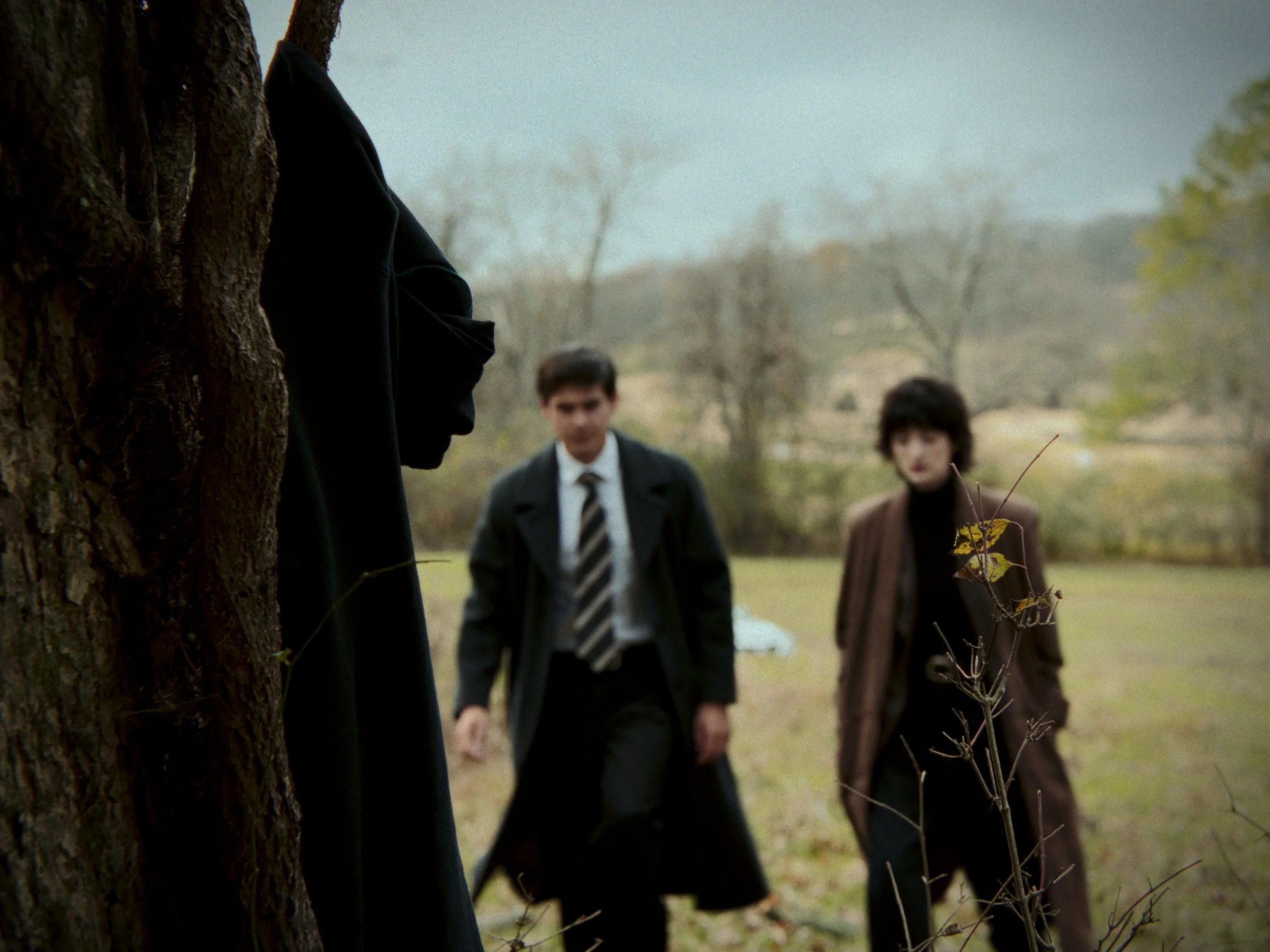 Still 2025-12-12 143822_1.1.1.jpg