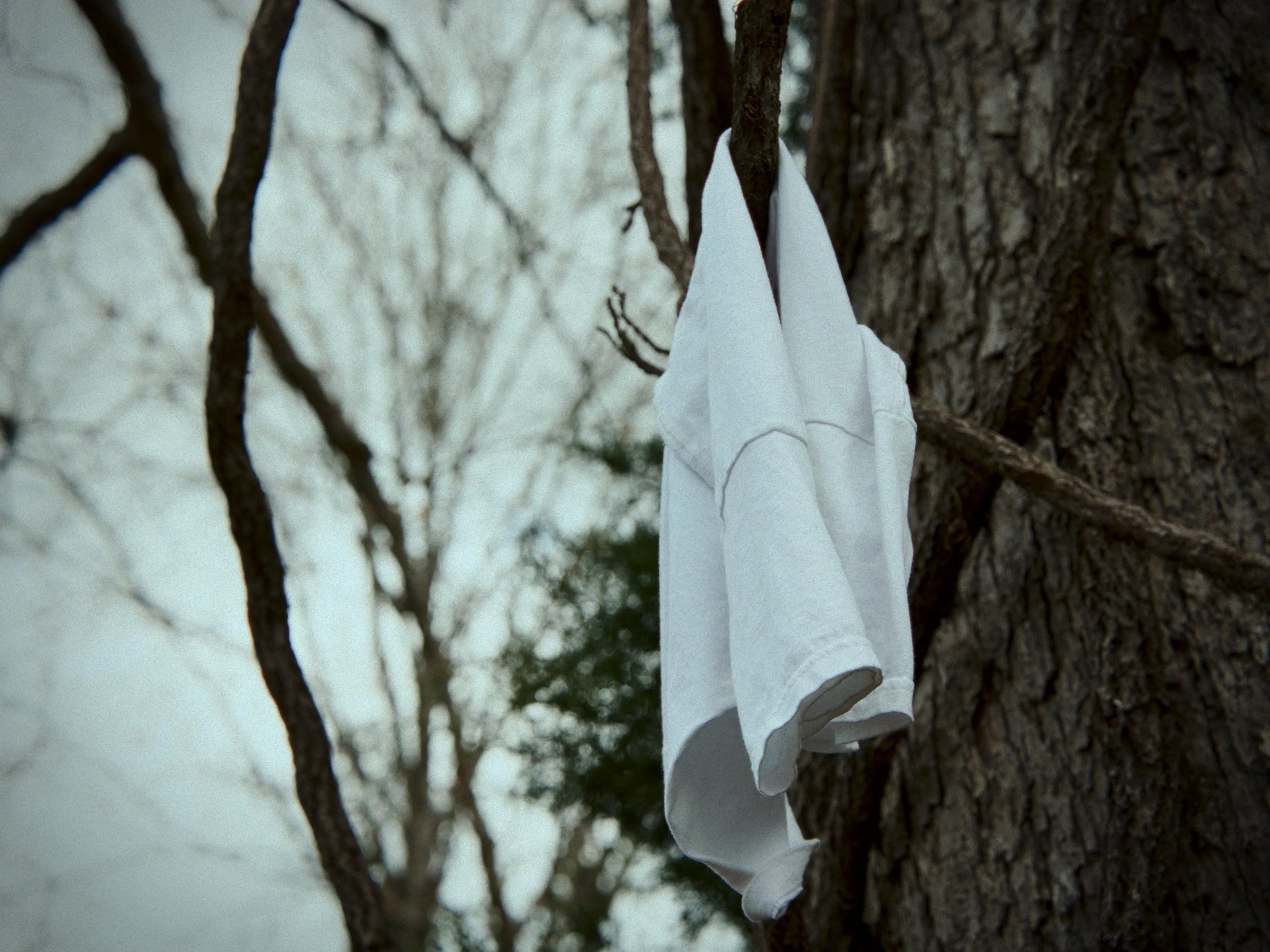 Still 2025-12-12 143822_1.8.1.jpg