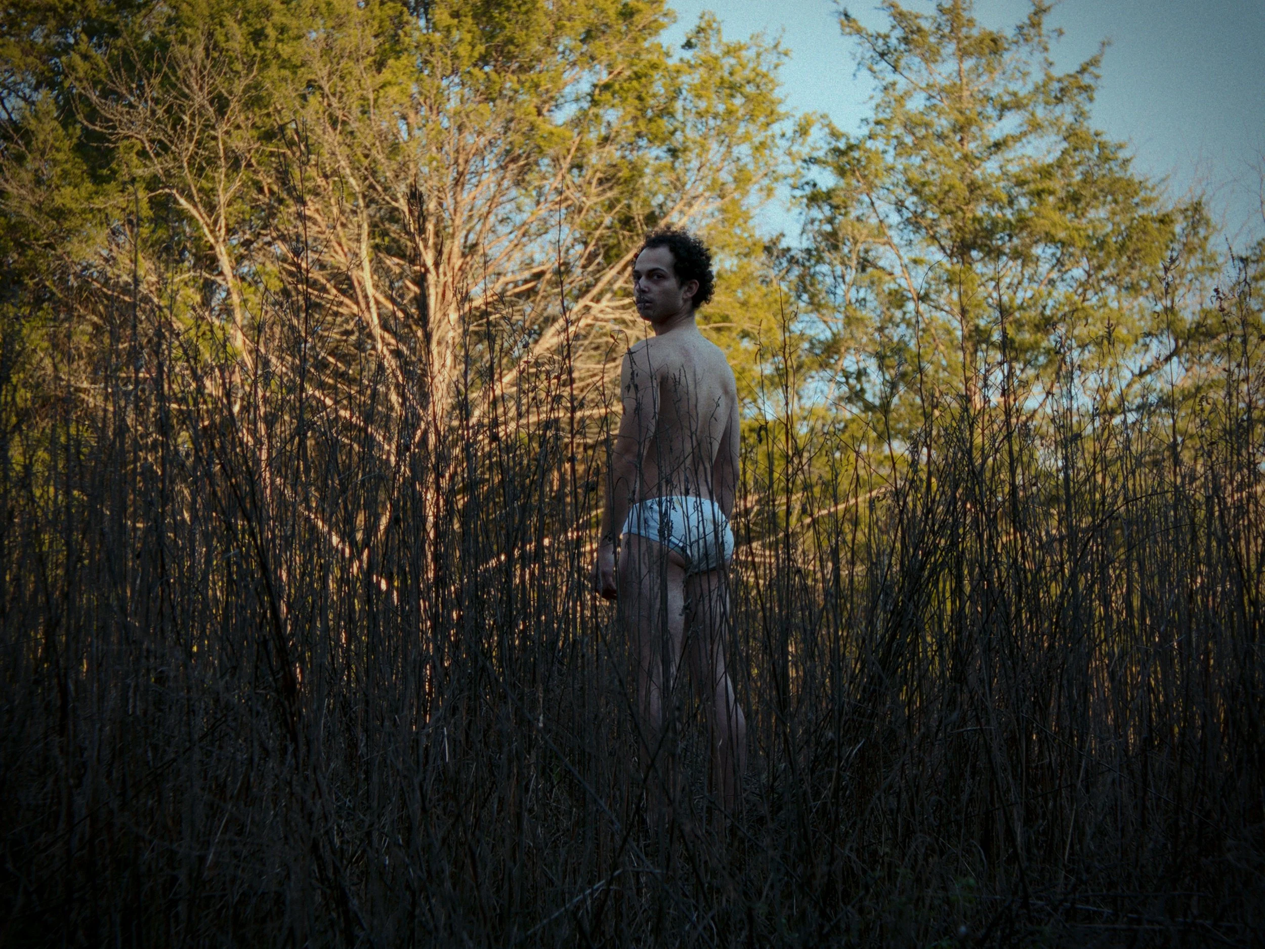 Still 2025-12-12 143822_1.16.1.jpg