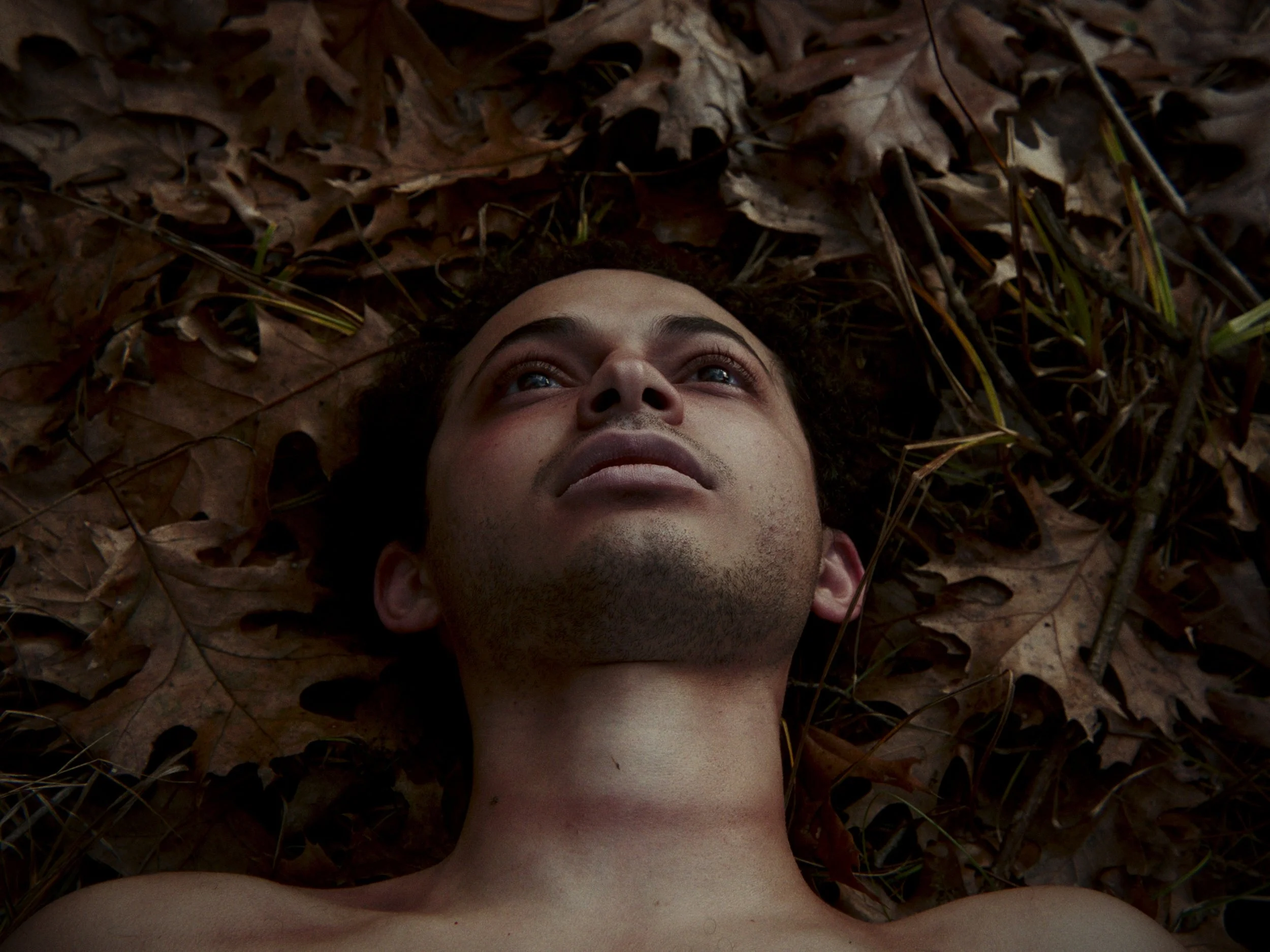 Still 2025-12-12 143822_1.5.1.jpg