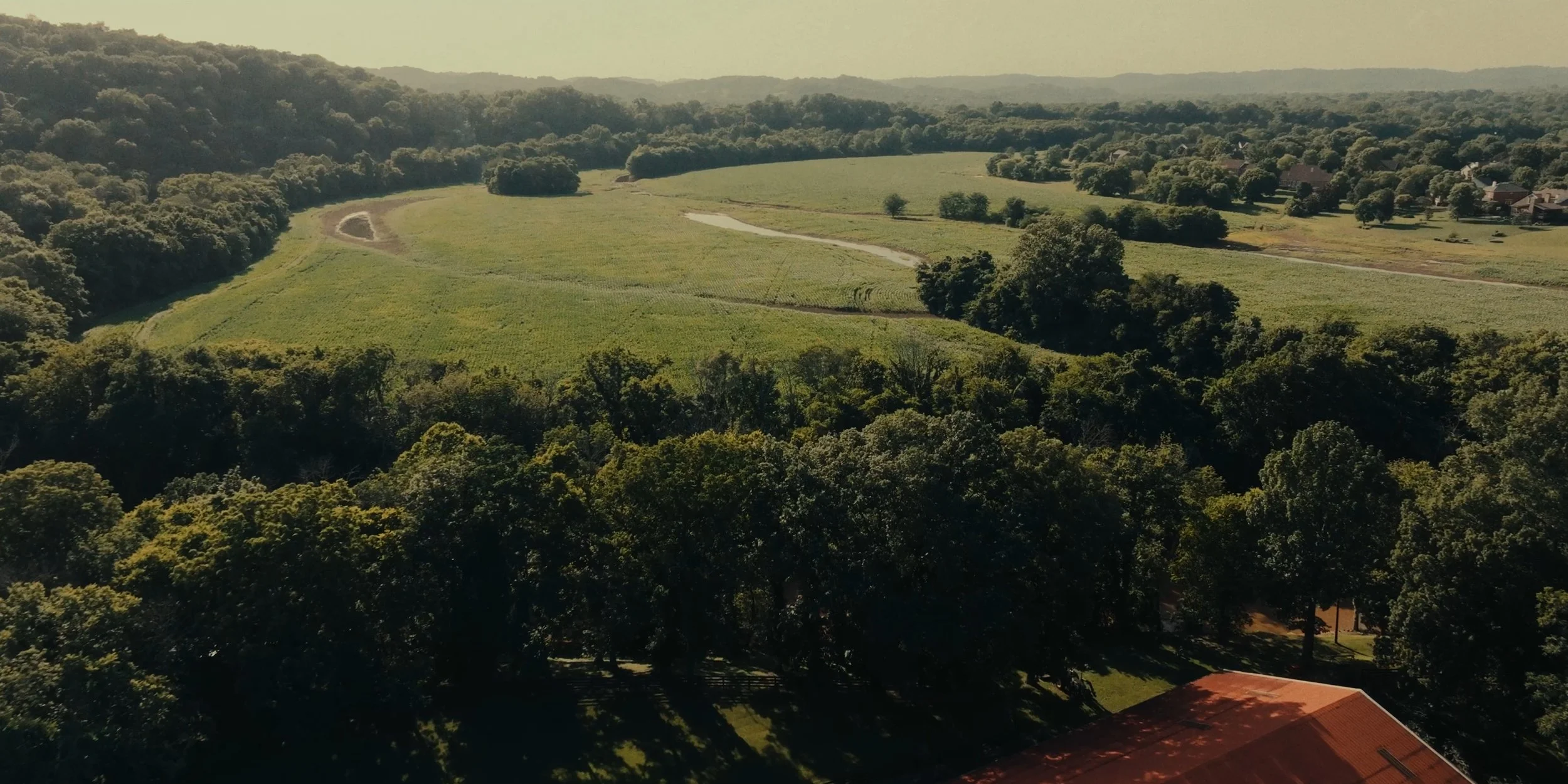 Aerial view of a lush green landscape with rolling hills, dense trees, and a small body of water, with a few houses in the distance.
