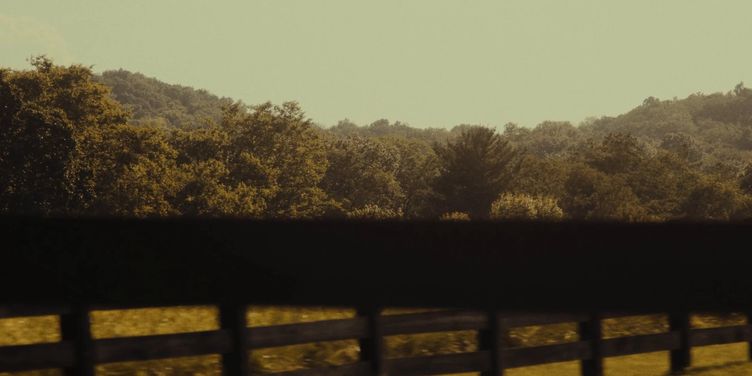 View of a forested hillside with trees and mountains in the distance, seen through a window with a black ledge or railing at the bottom.