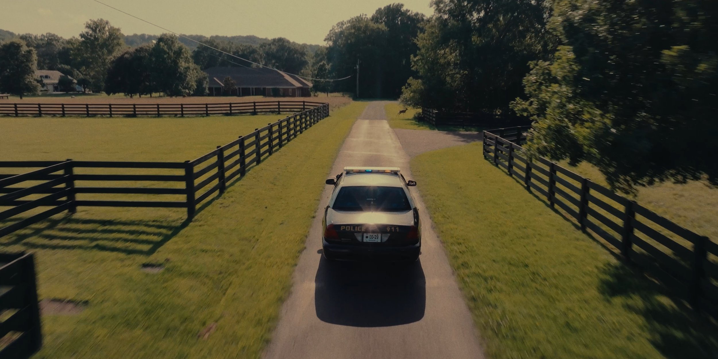A police car driving down a rural driveway with green grass and trees on either side and a wooden fence on both sides of the driveway.