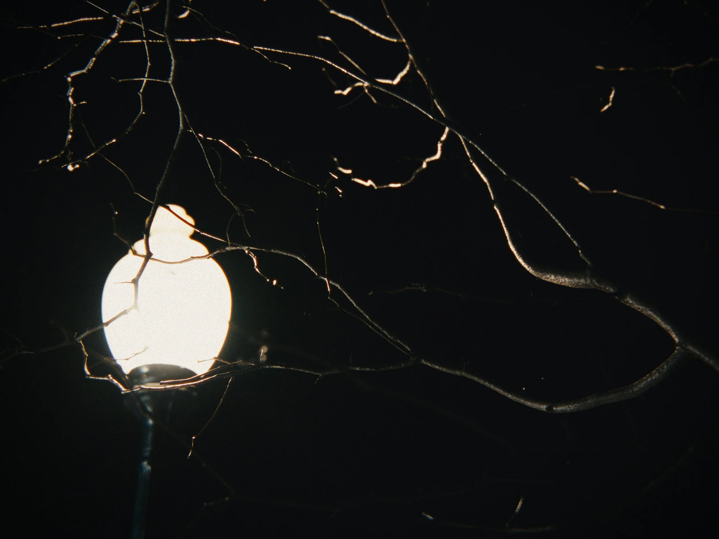 Close-up of a spider web at night with a bright light source behind it, highlighting the web's intricate pattern.