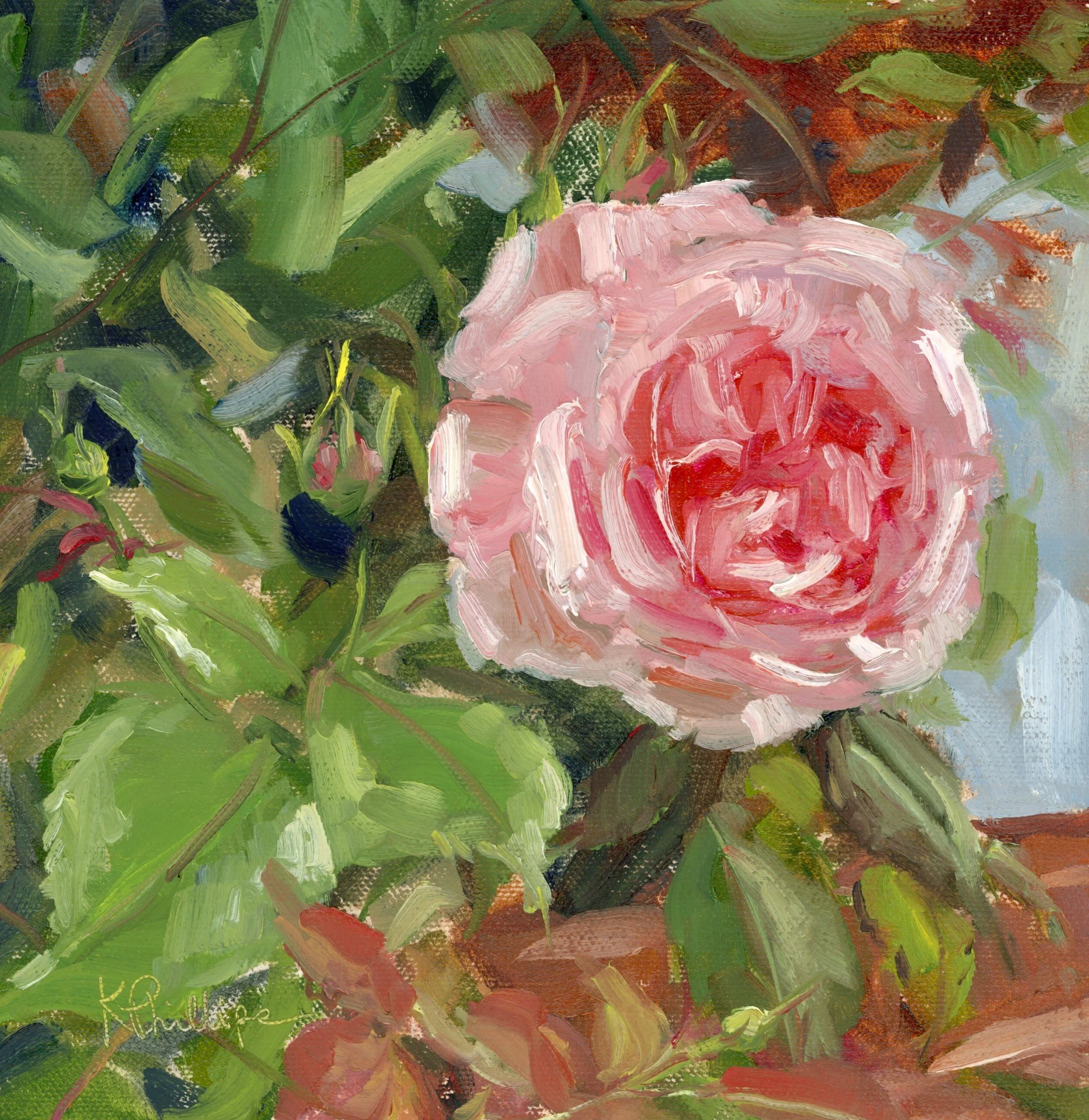Swiss Rose-web.jpg
