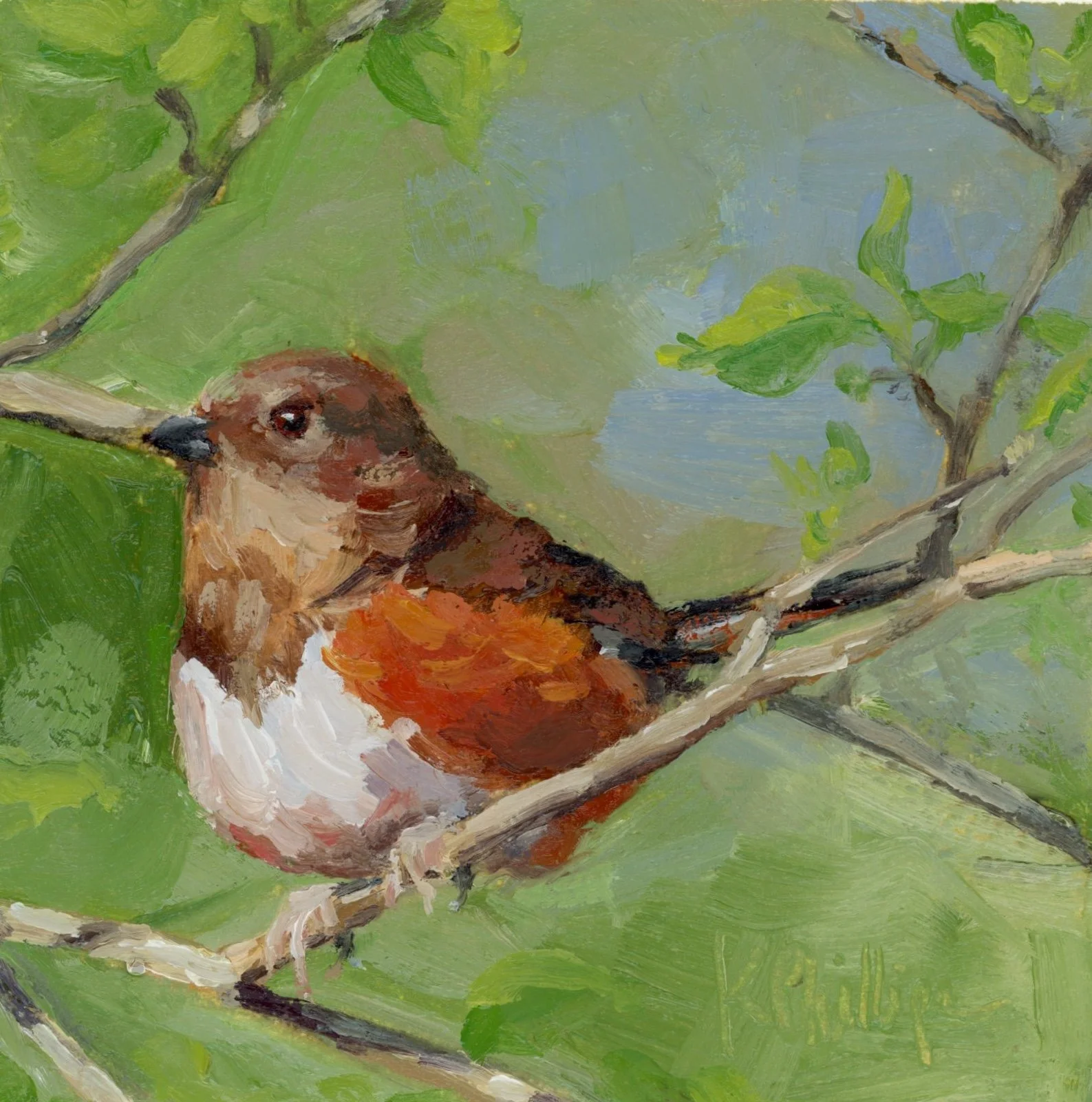 His Eye Is On the Sparrow-web.jpg