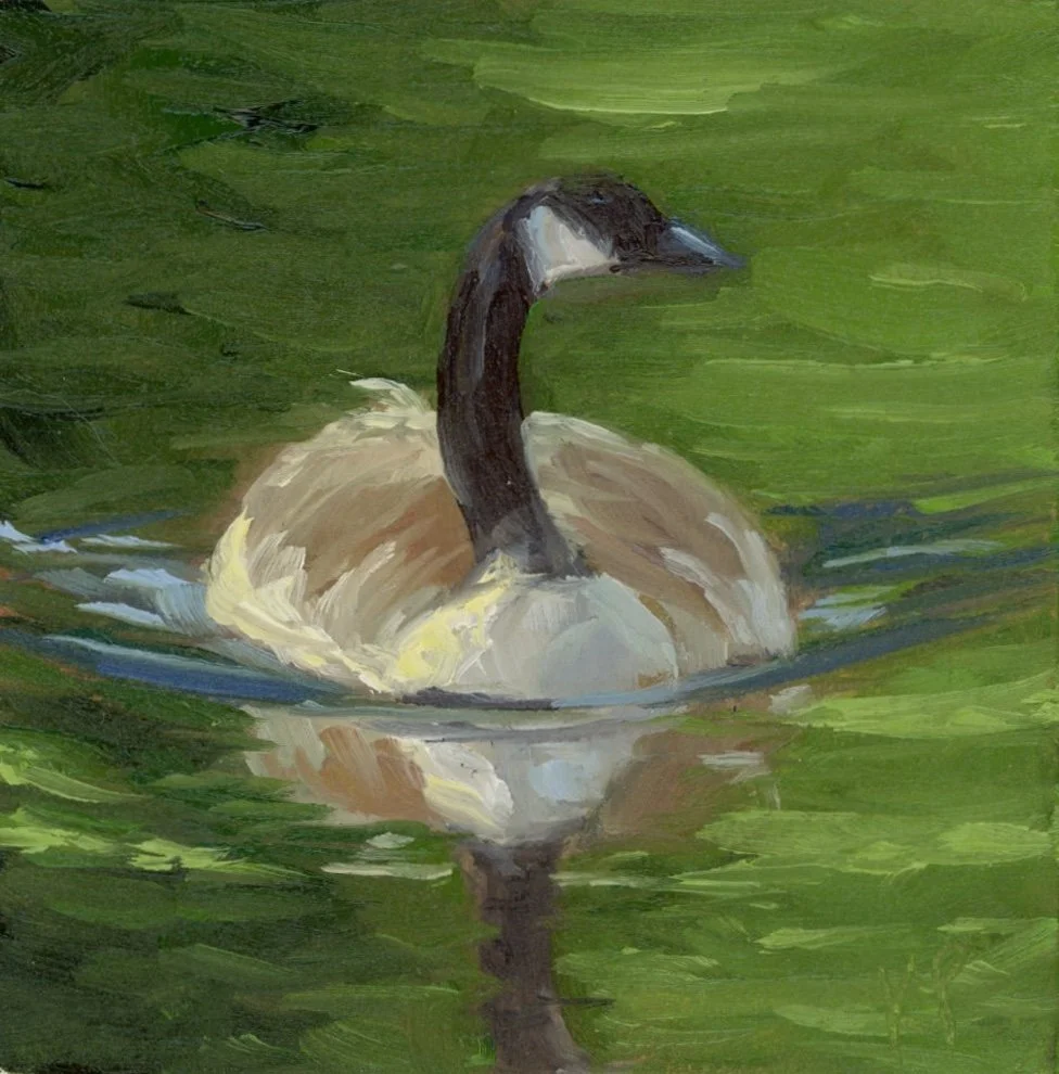 Reflection-web.jpg