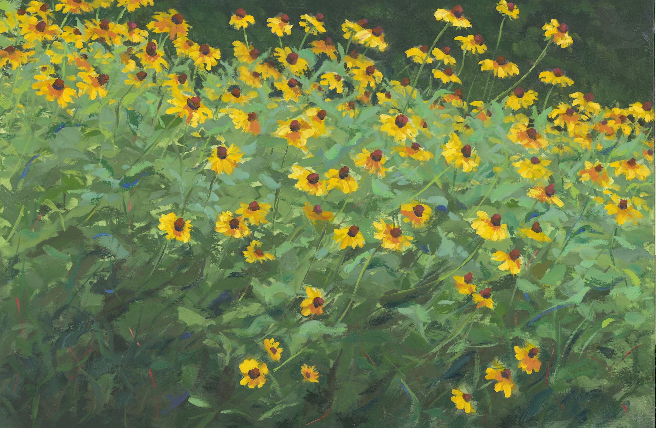 flowerfieldsunflower.png