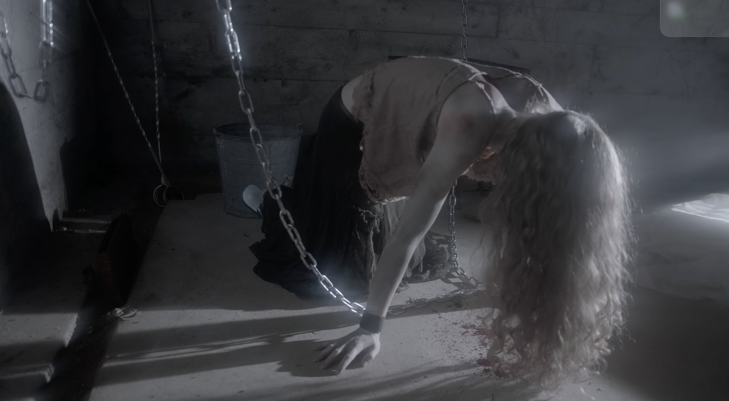 Screenshot 2026-02-20 at 11.25.41 AM.png