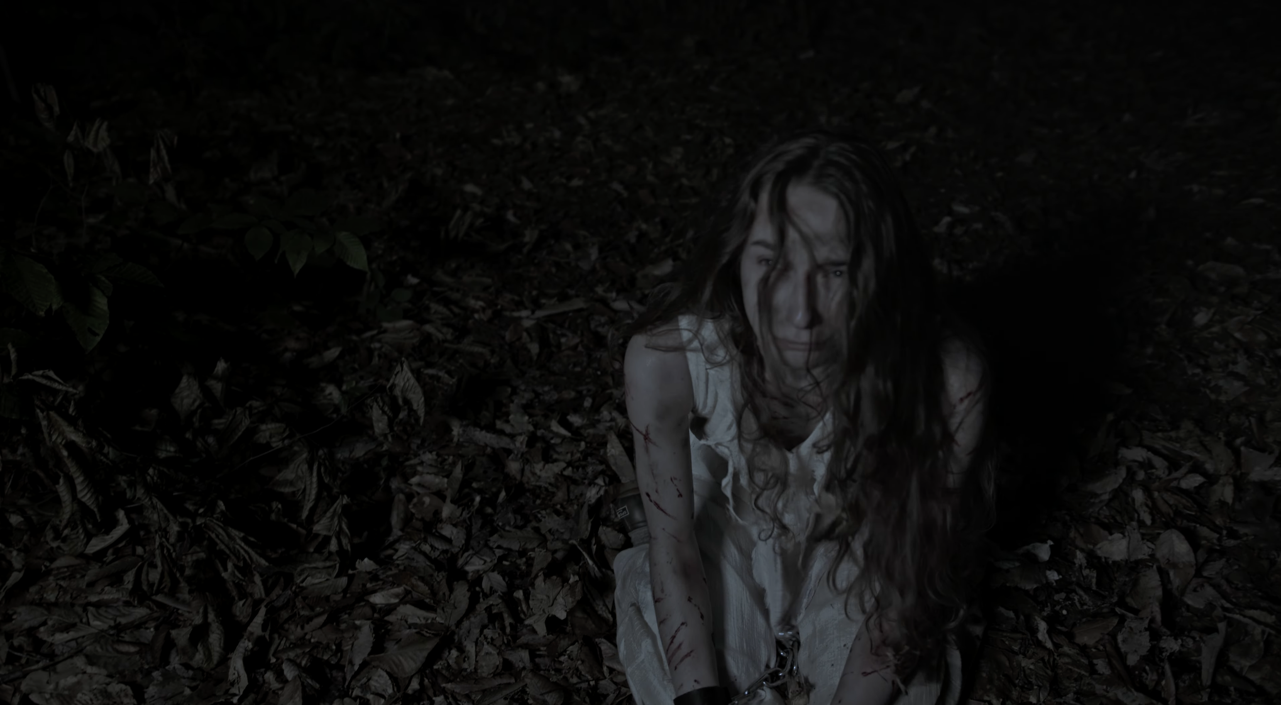 Screenshot 2026-02-20 at 11.33.39 AM.png