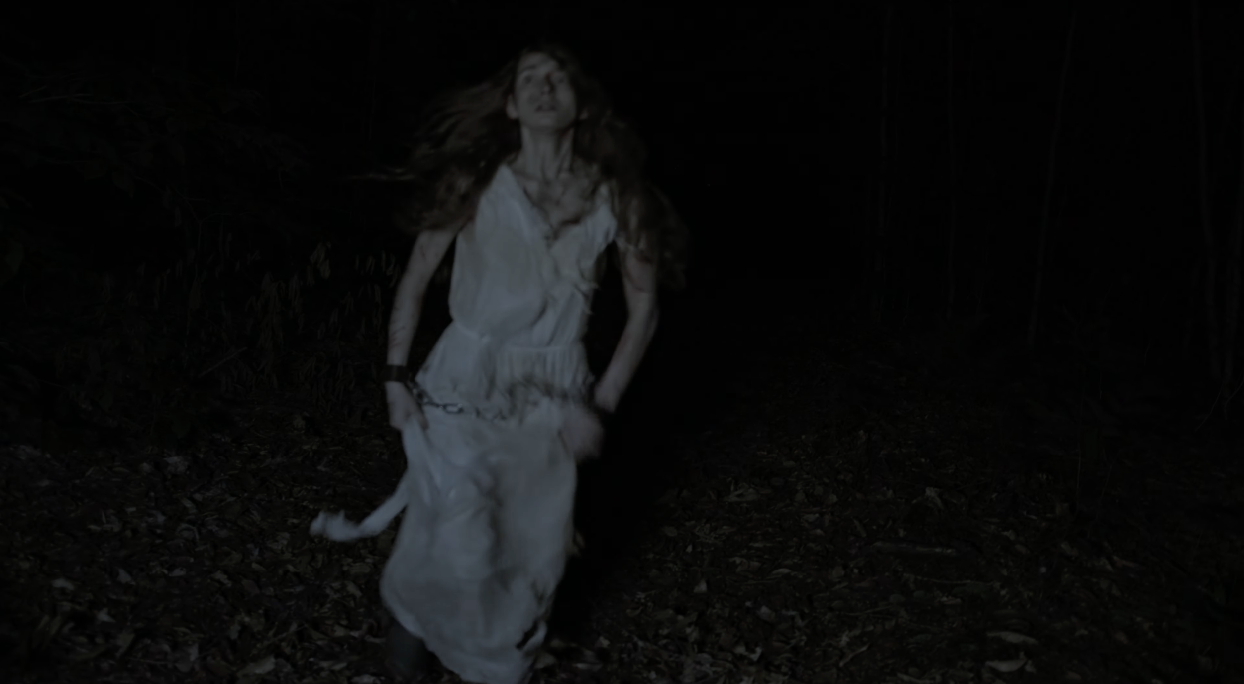 Screenshot 2026-02-20 at 11.33.08 AM.png